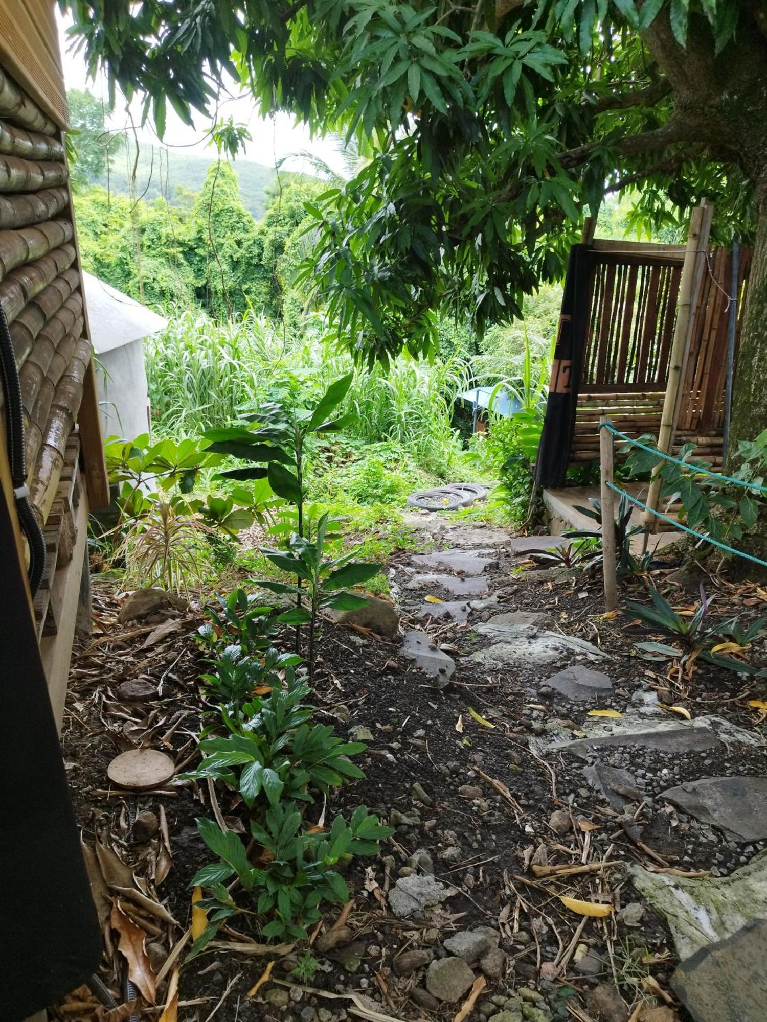 Tikazalou Eco Hostel *