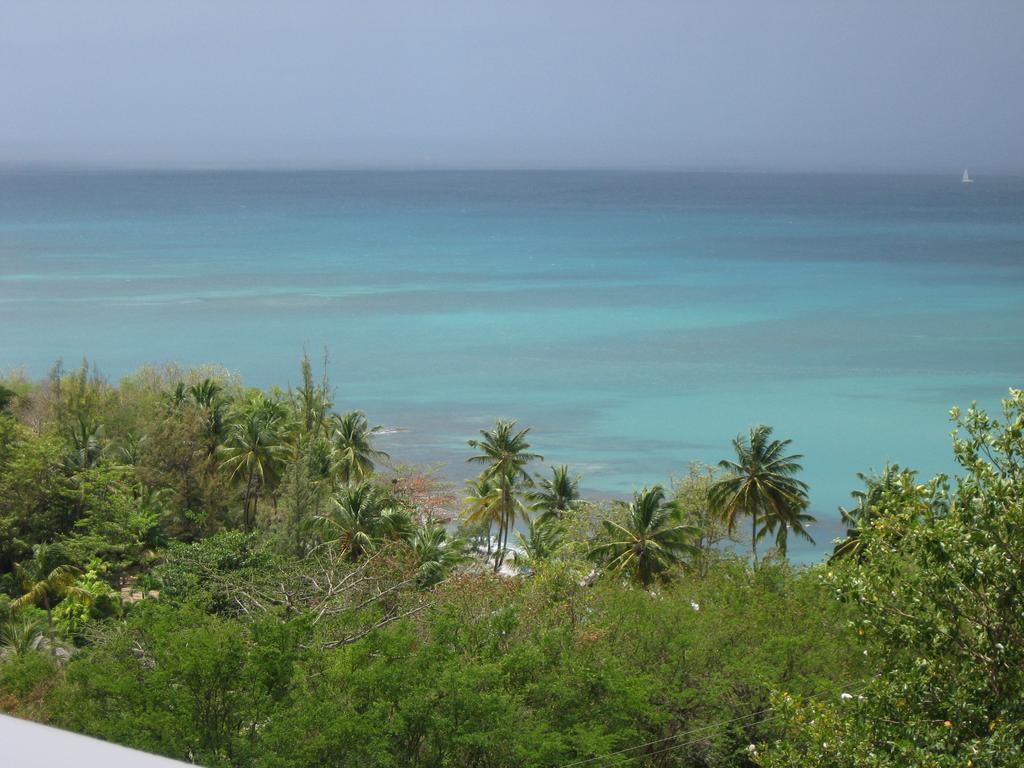 Lodge Palm Castries