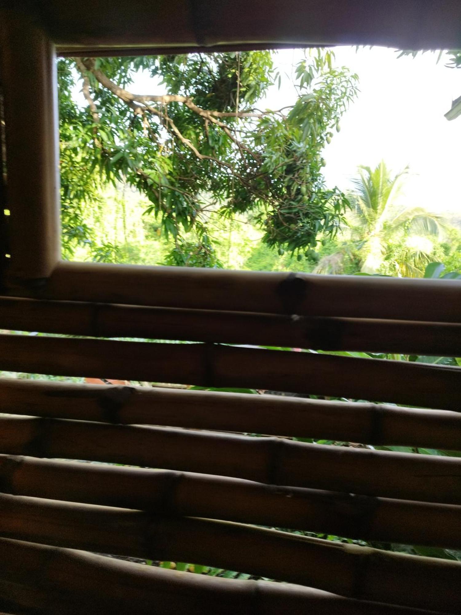 Tikazalou Eco Hostel