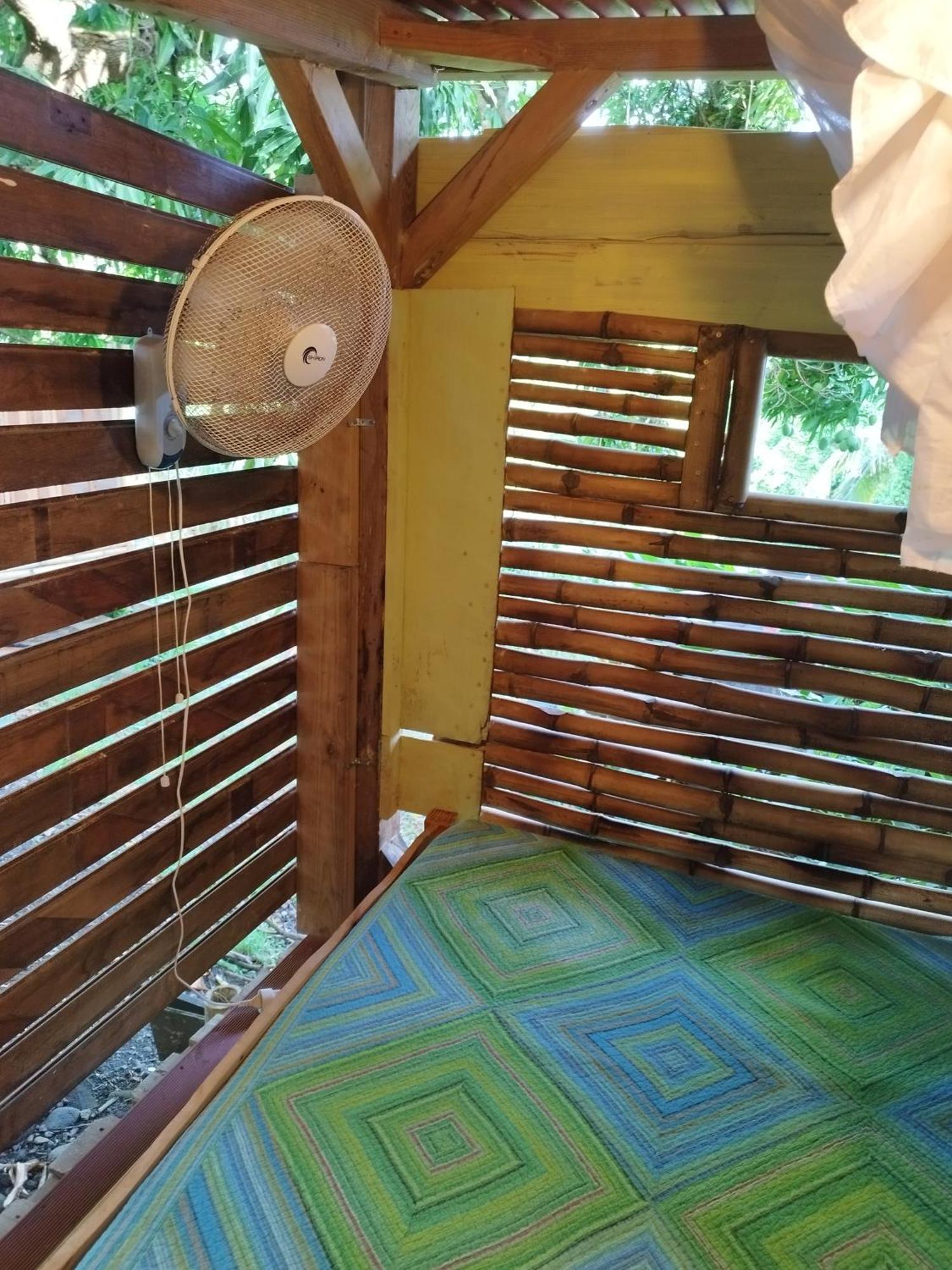 Tikazalou Eco *