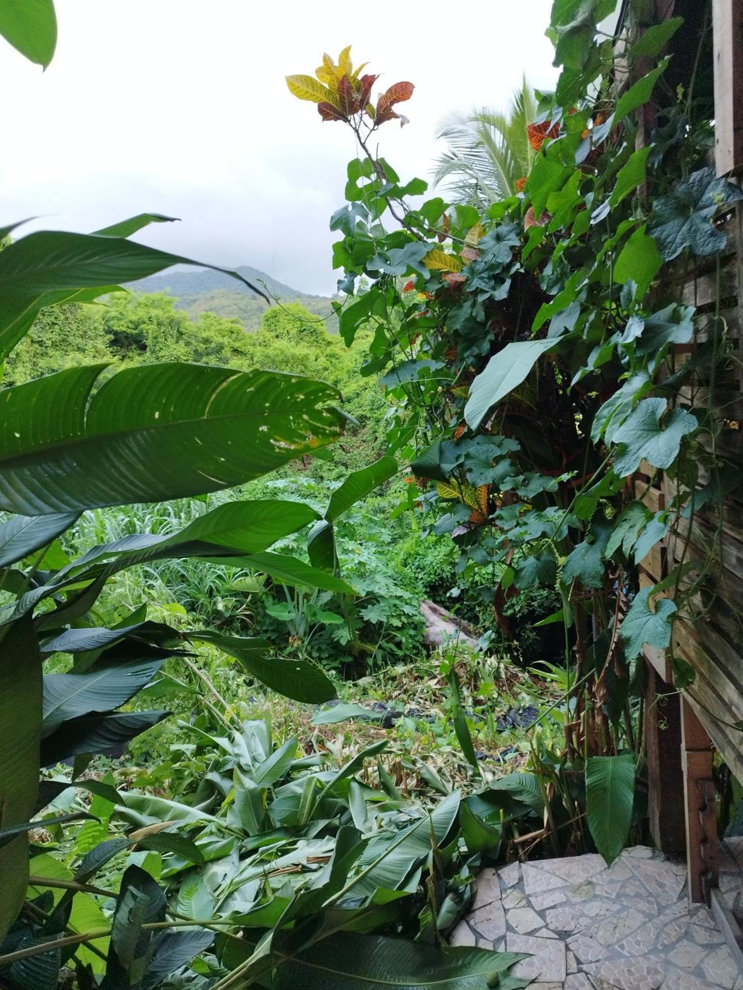 Tikazalou Eco Hostel