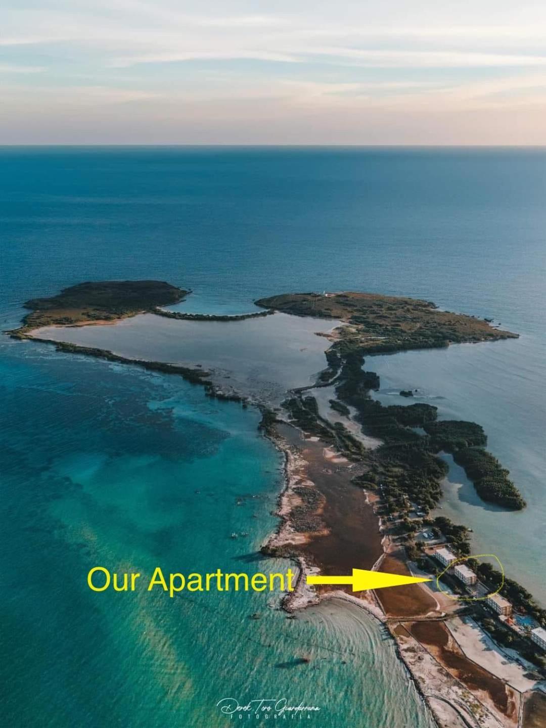 2-br Modern Oceanfront Steps From Playa Sucia Apartment *