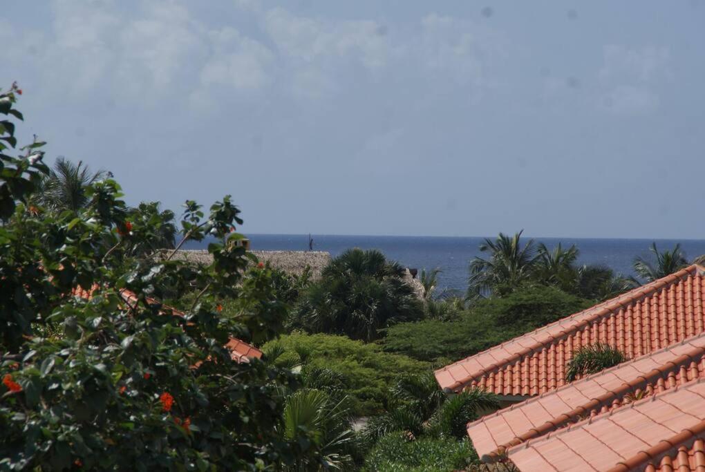 Tropical With Ocean View Apartment *