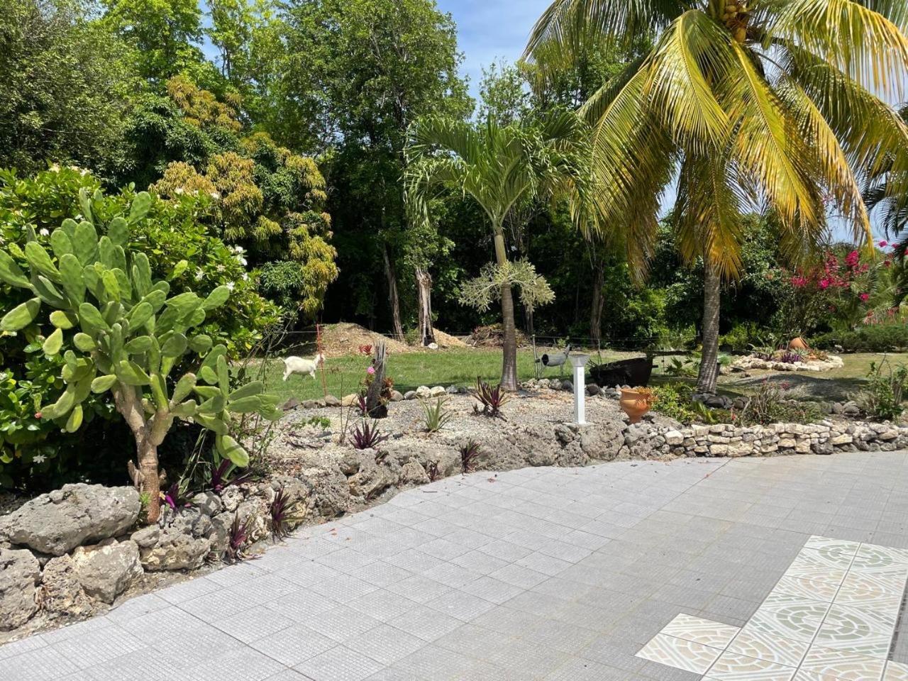 L'aseta Paradise Holiday home *