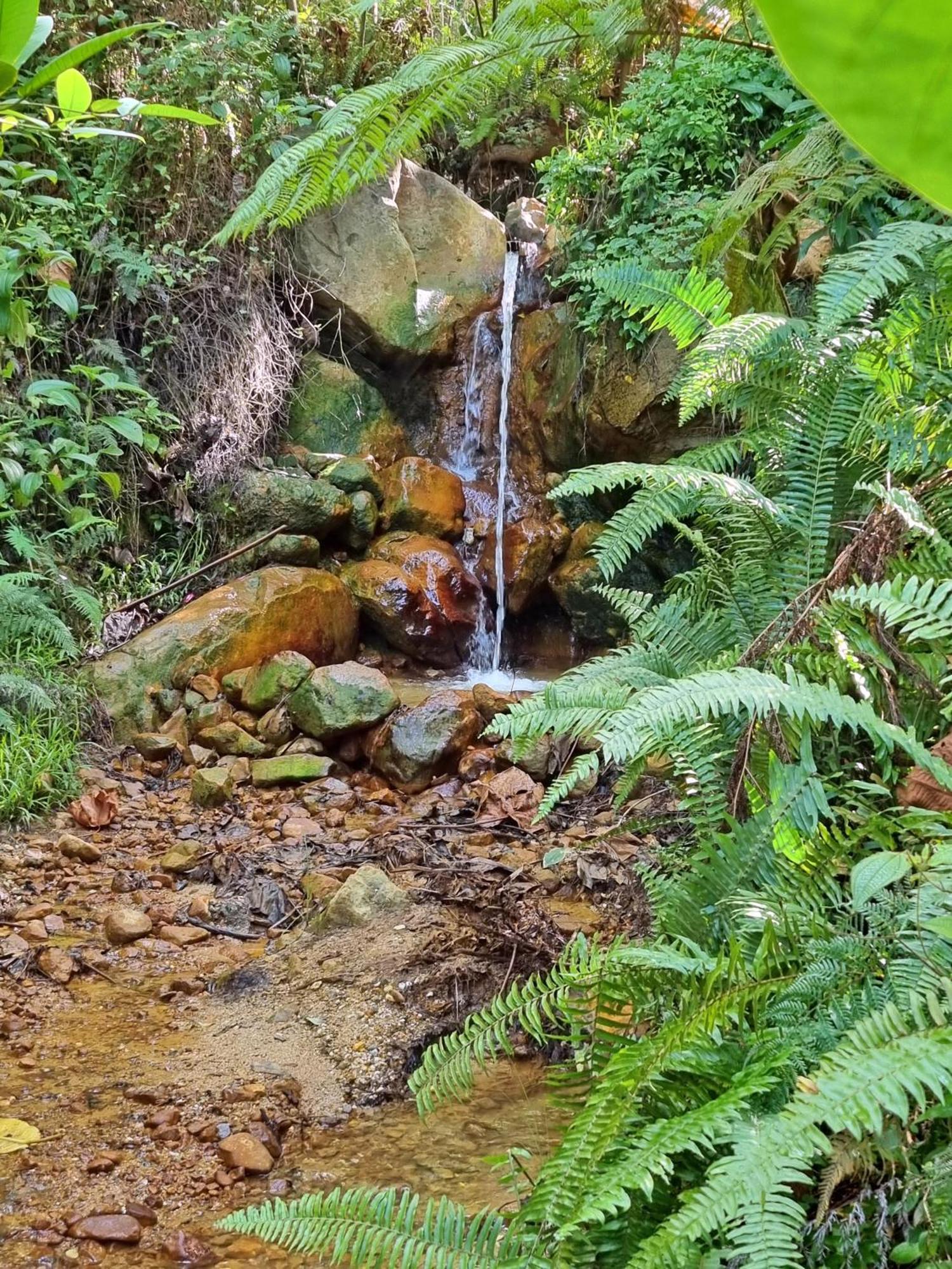 Coulibri Ridge Soufriere