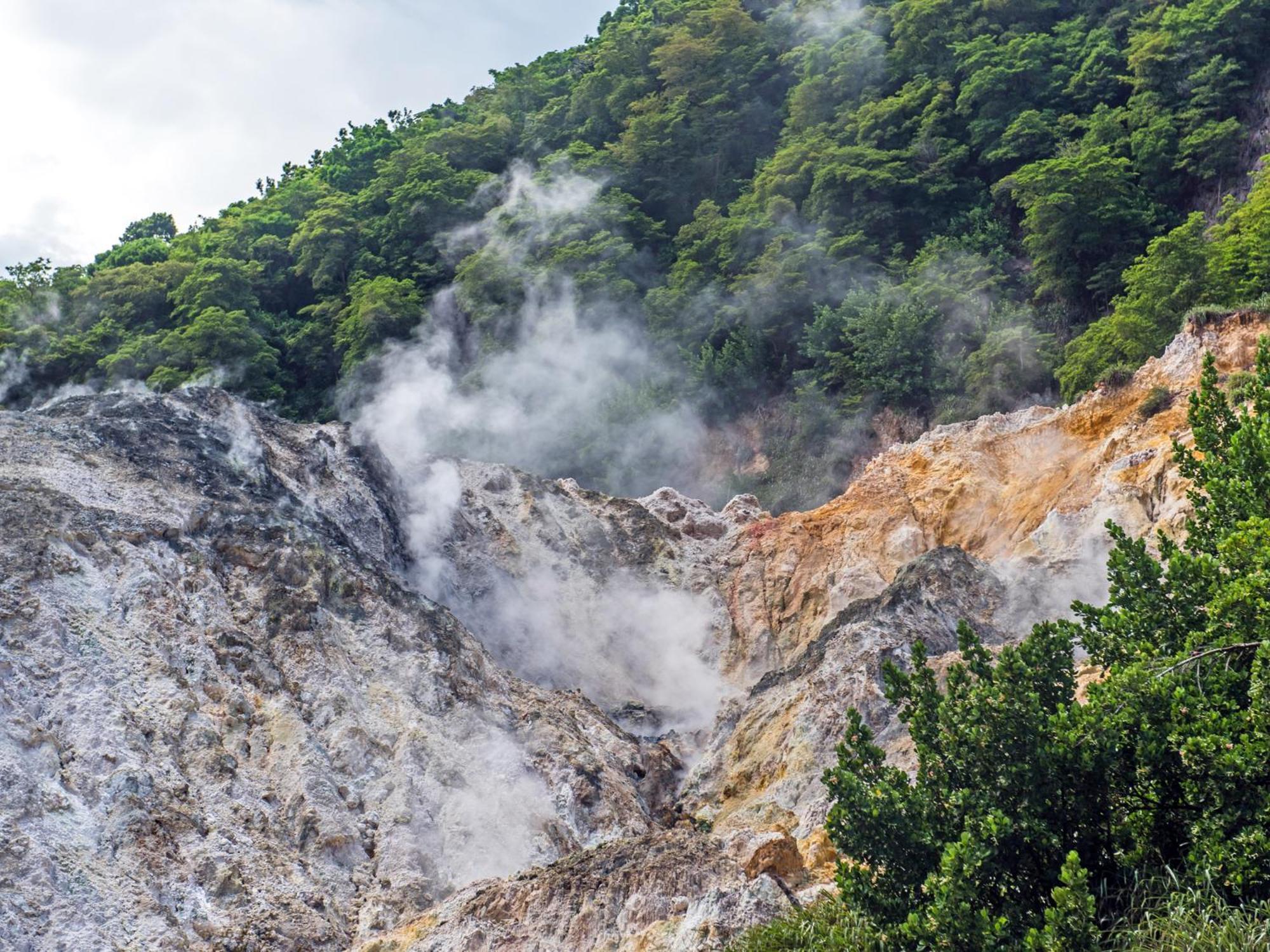 Coulibri Ridge Soufriere