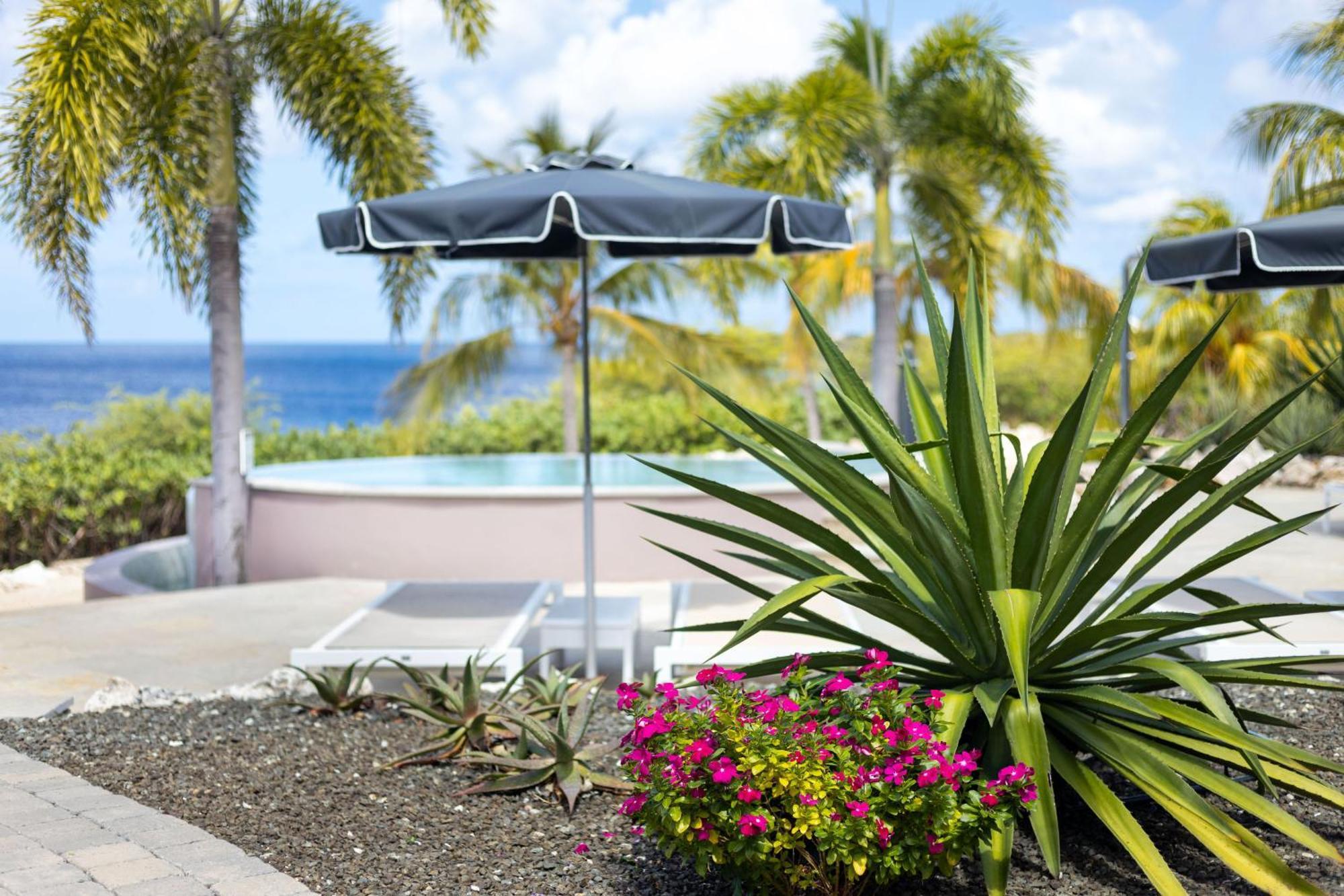 Coral Estate Luxury Resort Resort