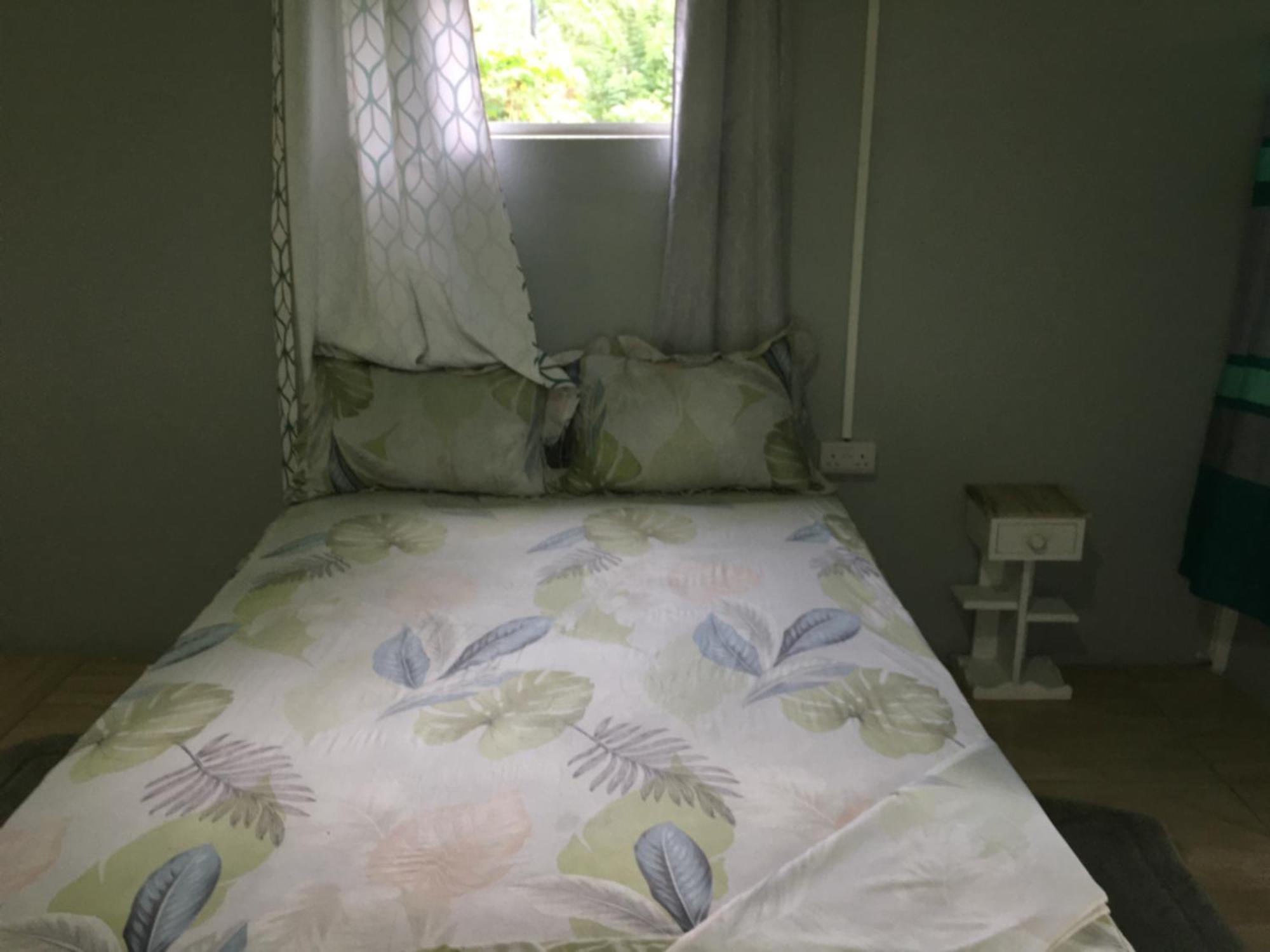 Anthurium Apartment