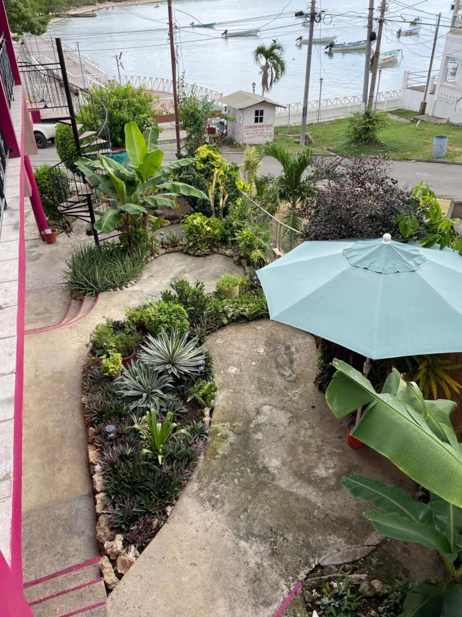 The Seaside Garden