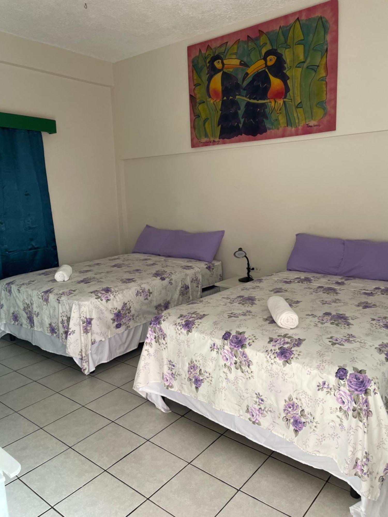The Seaside Garden Guest house