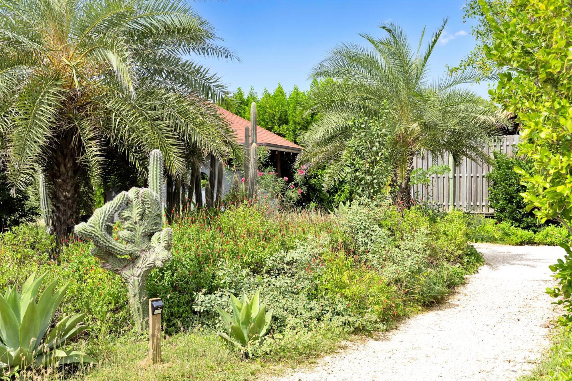 Resort Red Palm Village