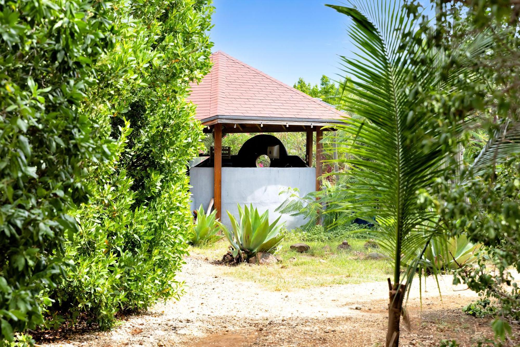 Resort Red Palm Village 3*