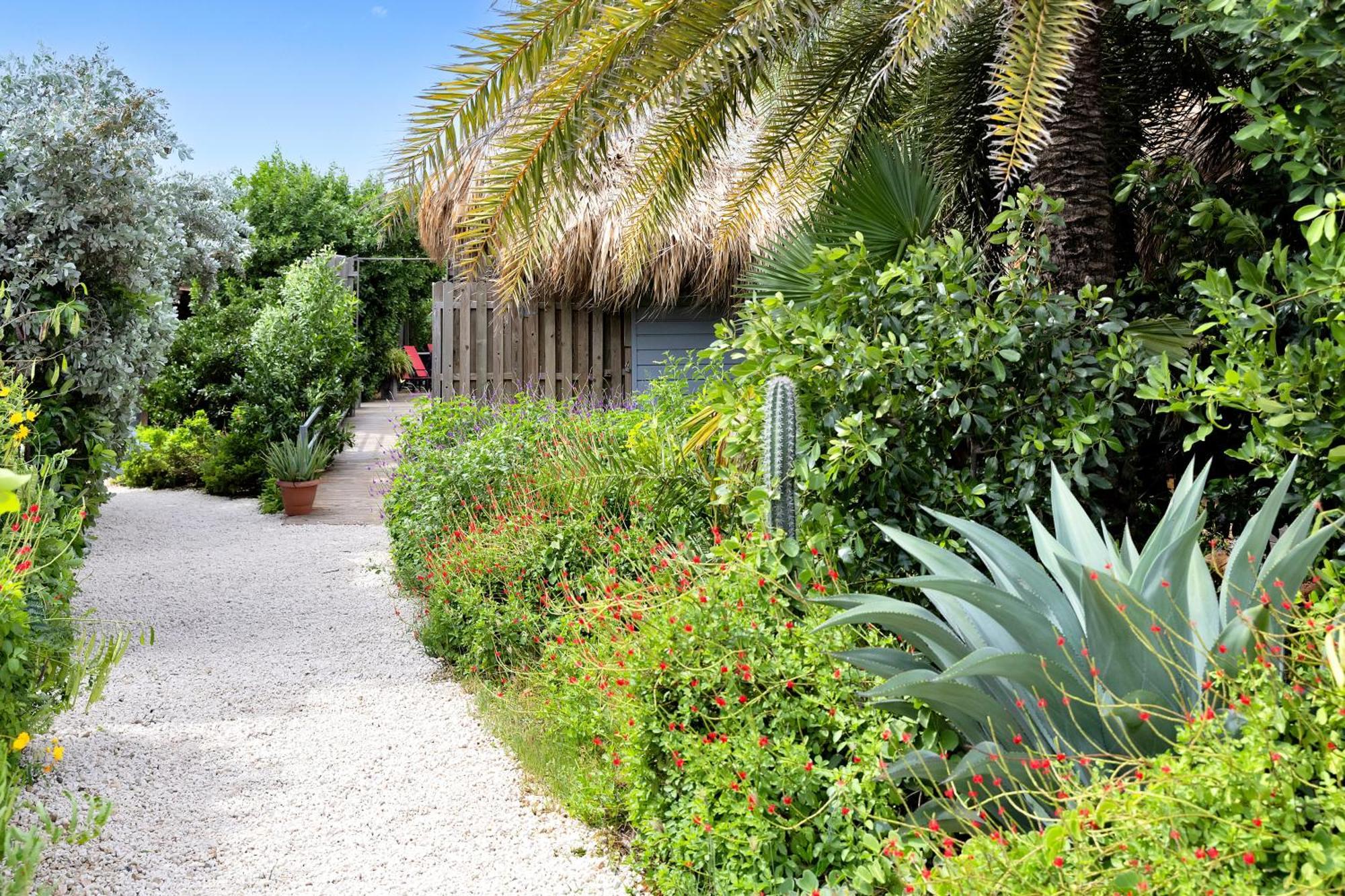 Red Palm Village 3*