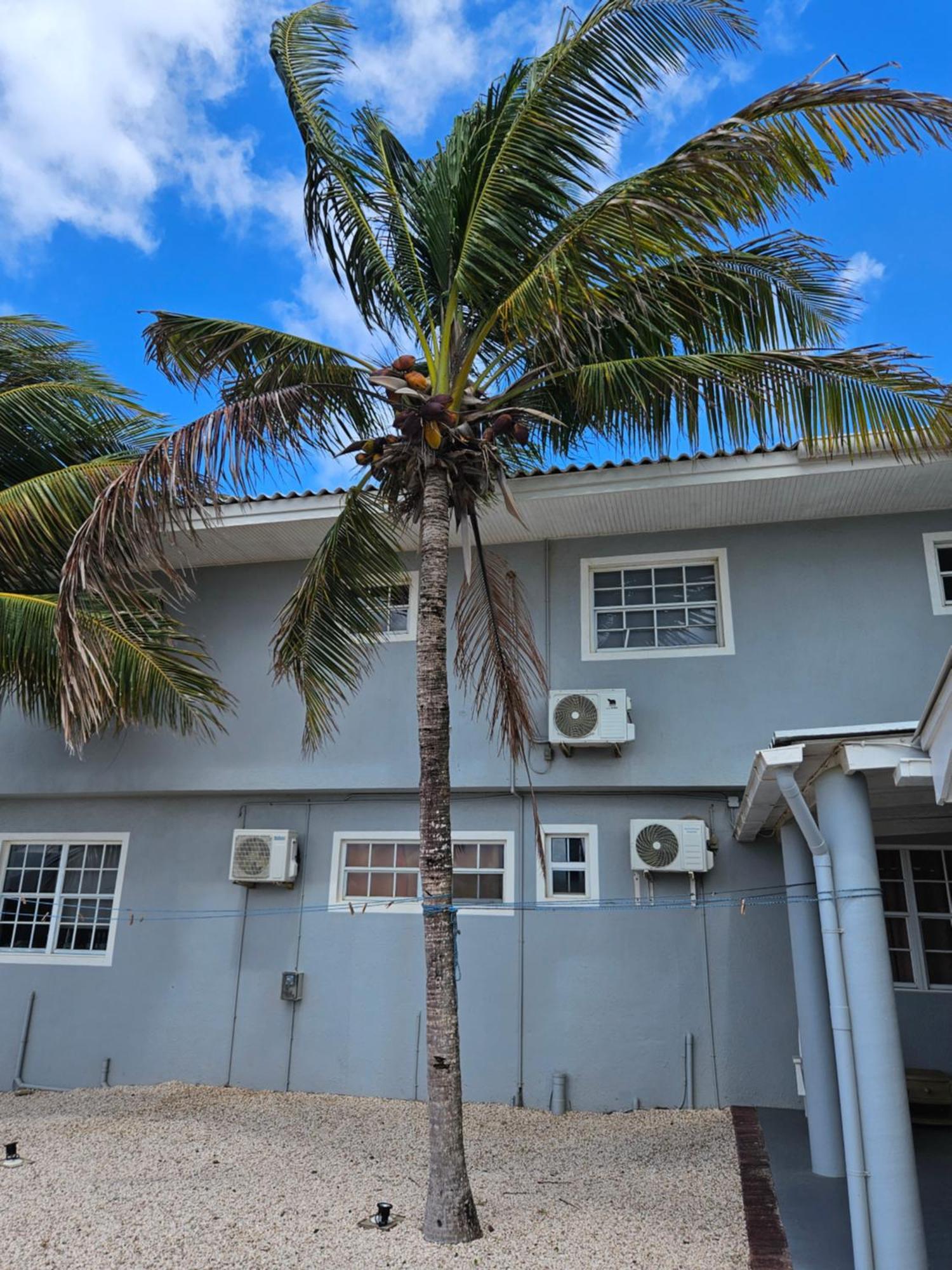 Raven's Paradise Apartment Willemstad
