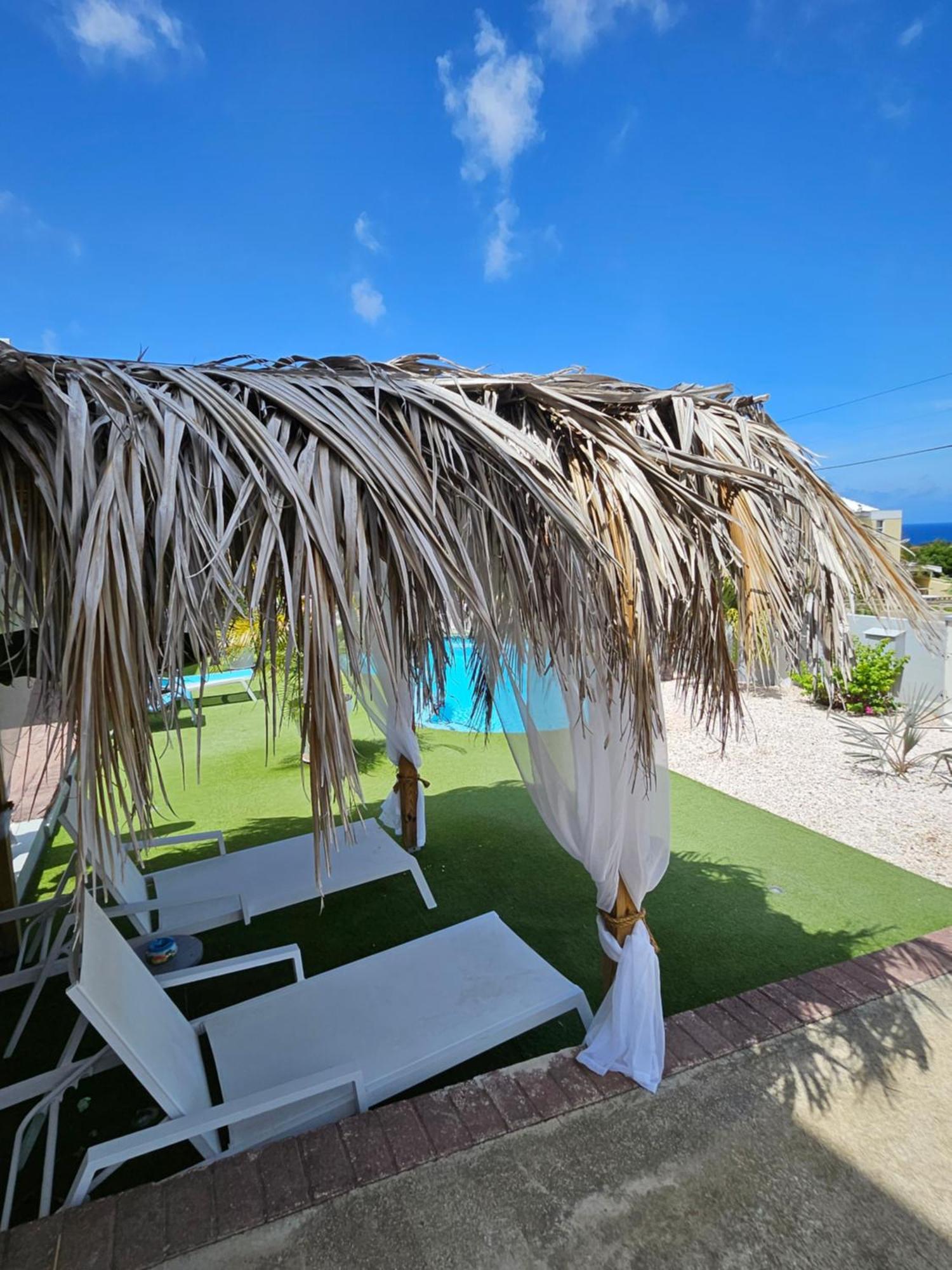 Raven's Paradise * Willemstad