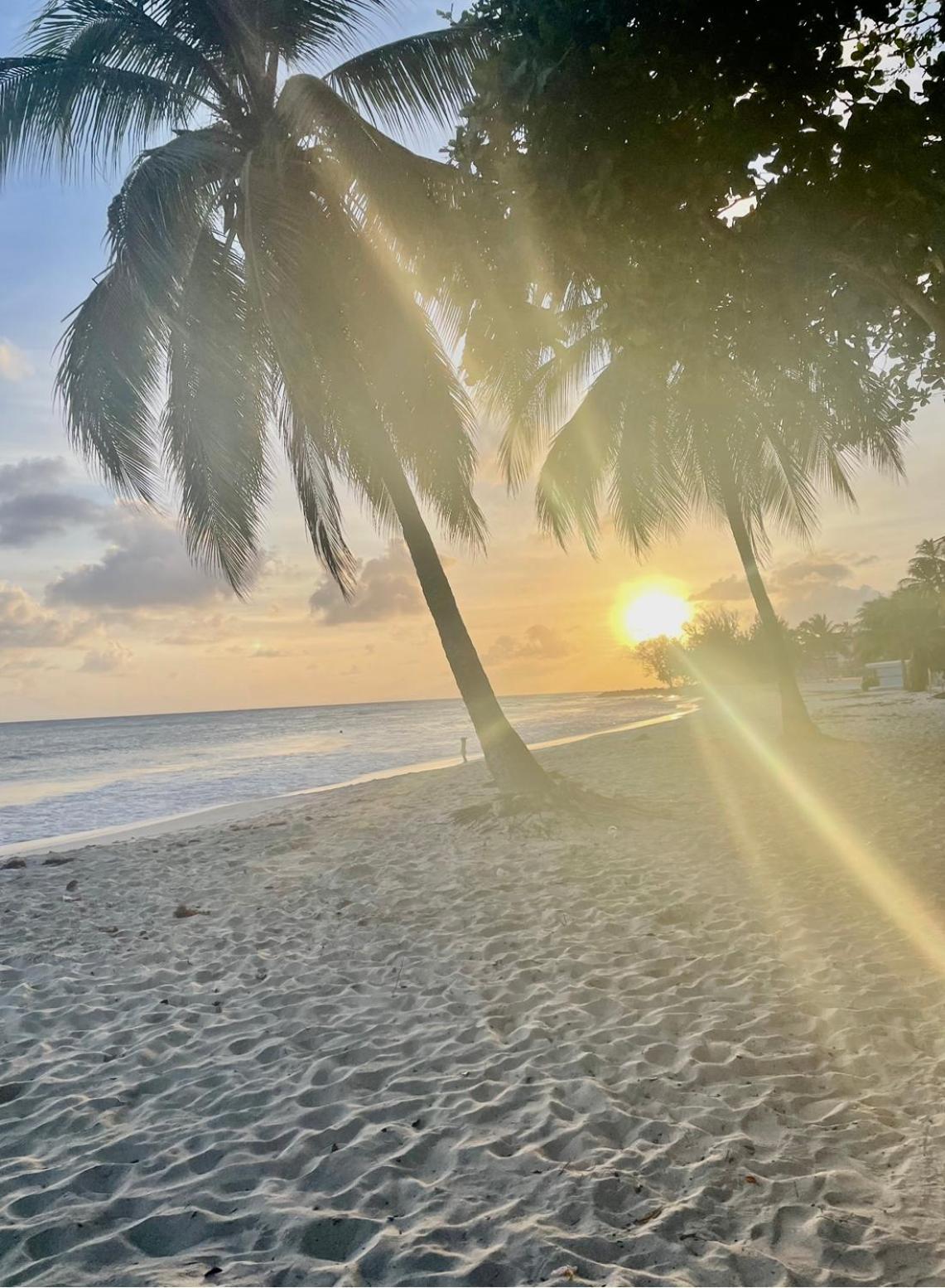 Apartment Seashades 2br 1 Full And 1 Half Bathrooms With Pool Close To Sleeps 4