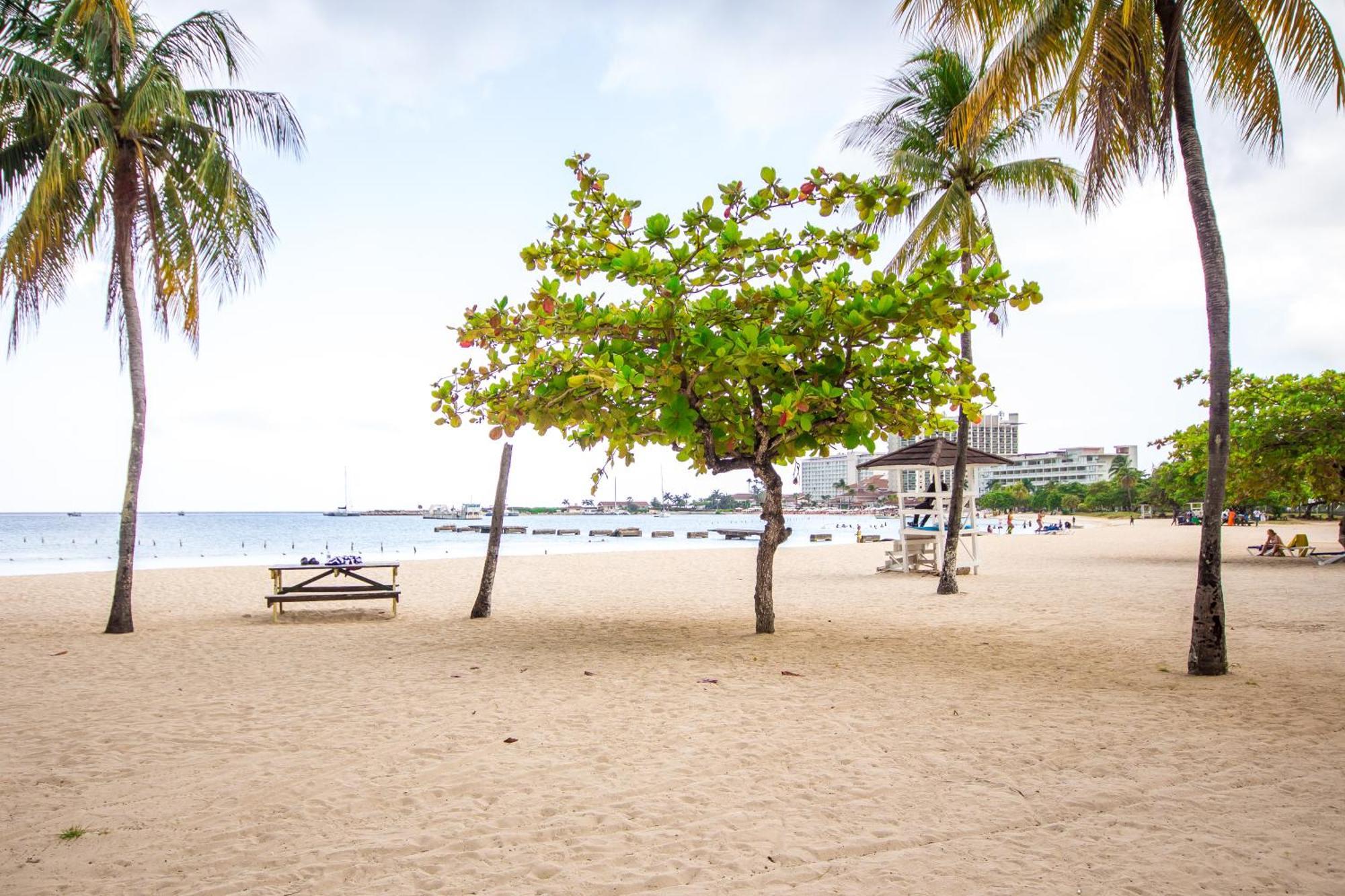 Heart Of Ocho Rios-free Acess-king Bed-pool-free Parking-gated Complex-free Wifi 100mbps Ocho Rios