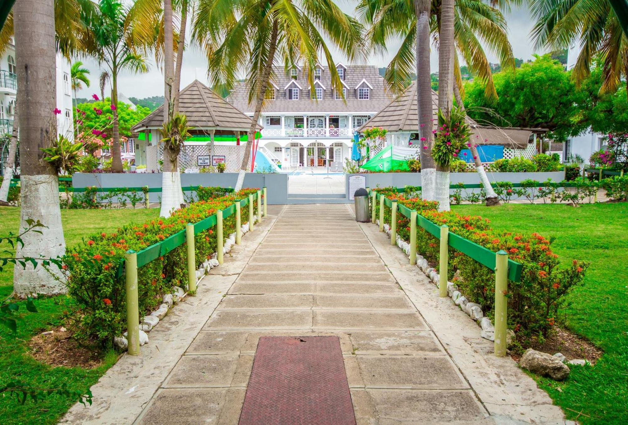 Apartment Heart Of Ocho Rios-free Acess-king Bed-pool-free Parking-gated Complex-free Wifi 100mbps