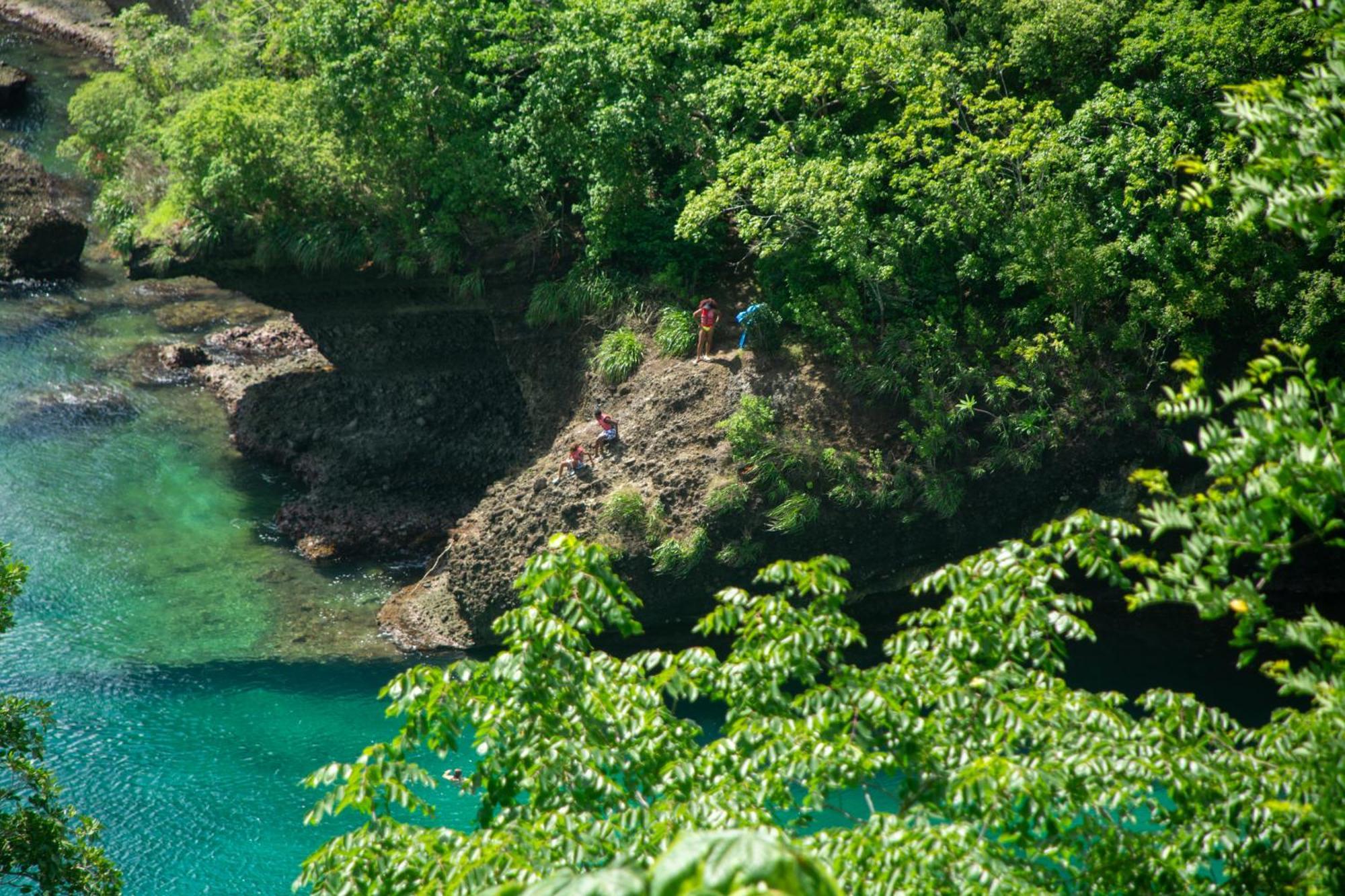 Vino Lucia Apartment Marigot Bay