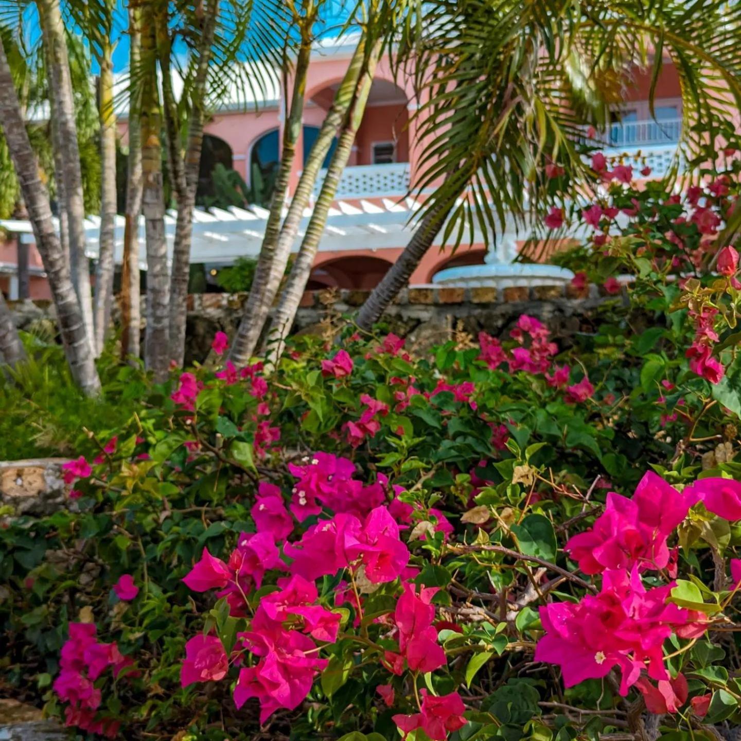 The Buccaneer & Golf Resort 4*