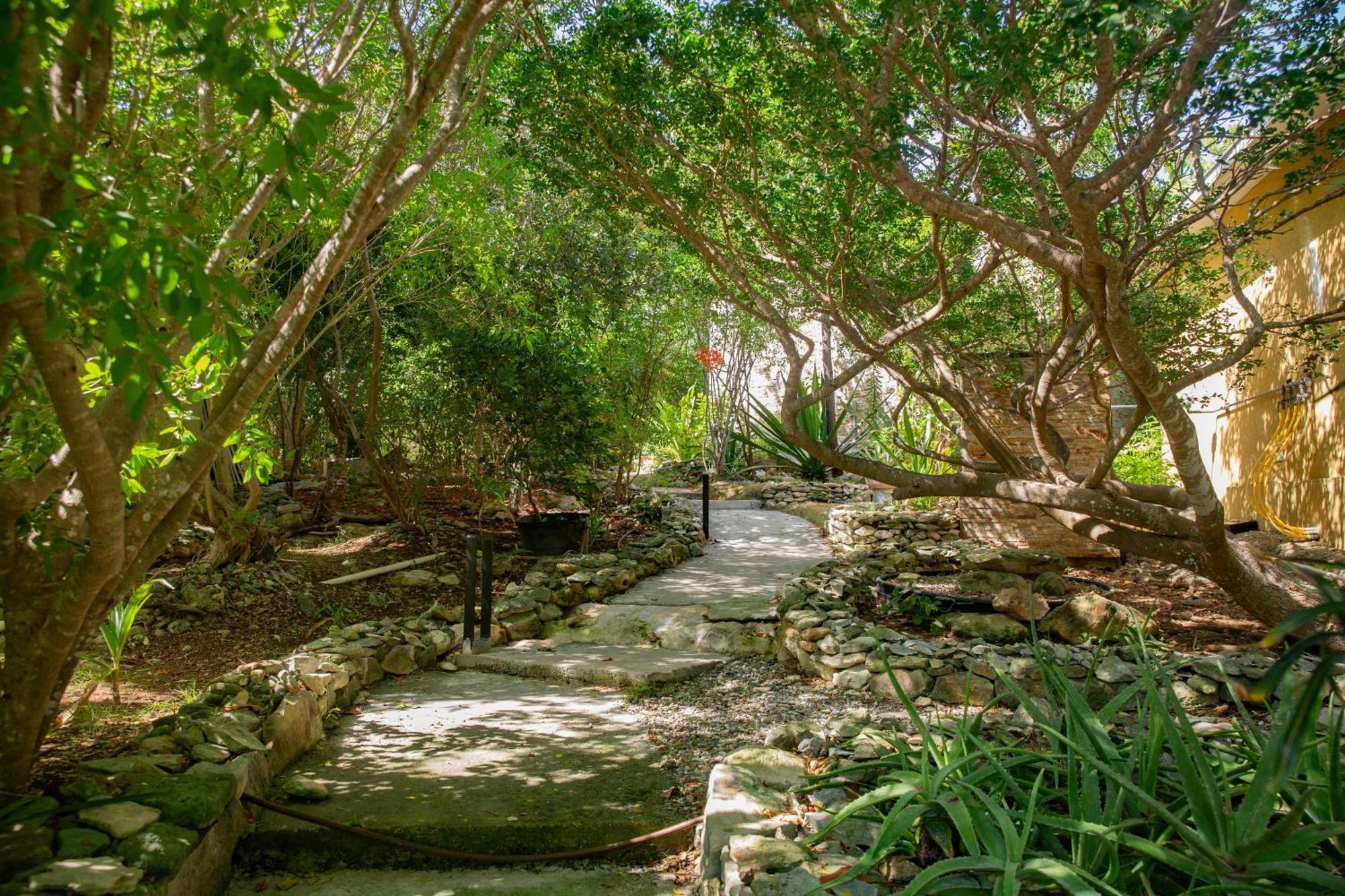 Kokomo Botanical - Caribbean Family Turtle Cove