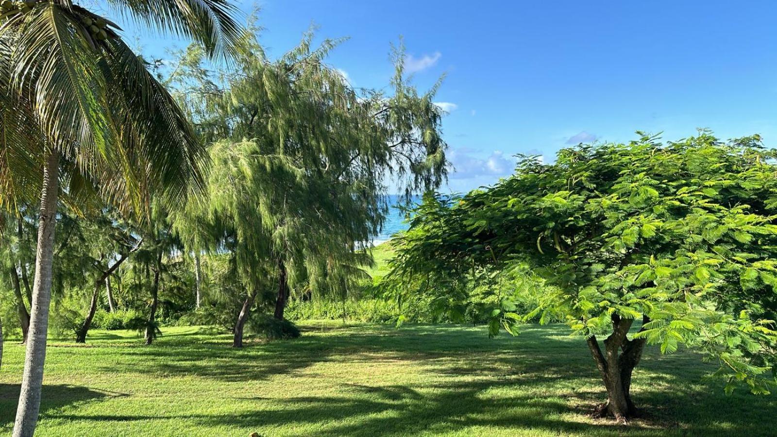 Apartment Tropic Village Vue Guadeloupe St Anne Sainte-Anne (Grande-Terre)