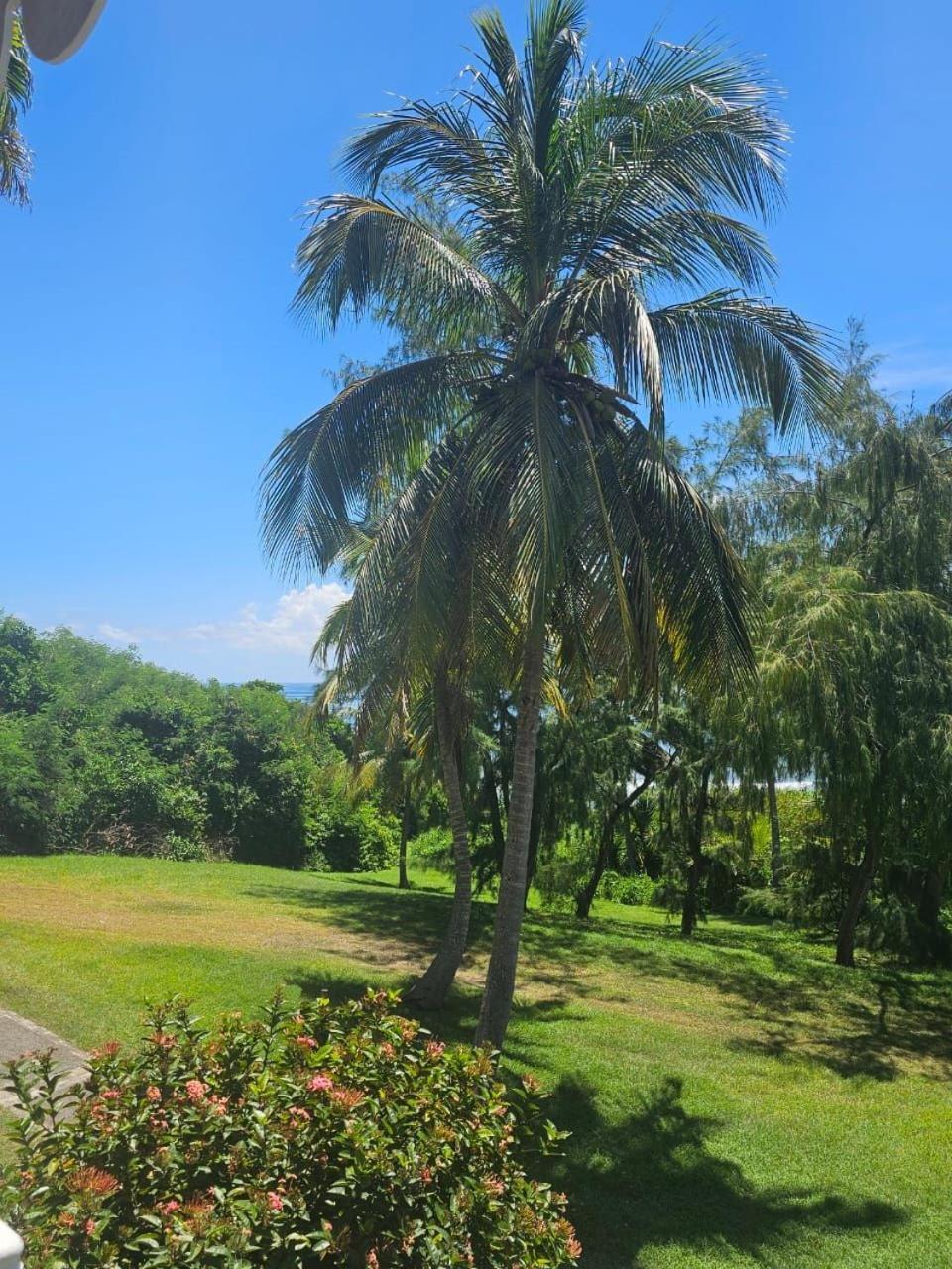 Tropic Village Vue Guadeloupe St Anne Apartment Sainte-Anne (Grande-Terre)