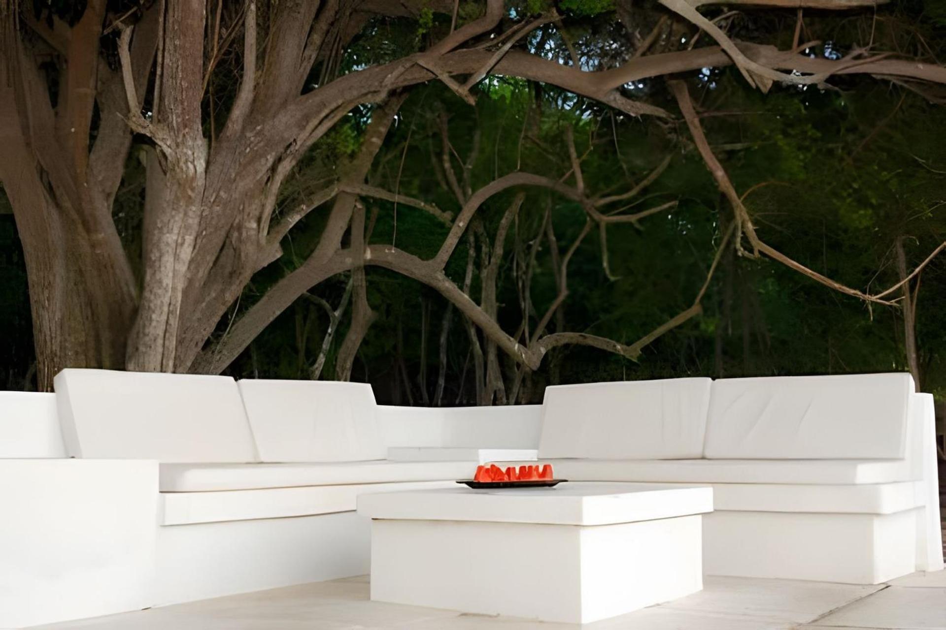 La Caracola | 3br In Native Forest & Pvt Sea *