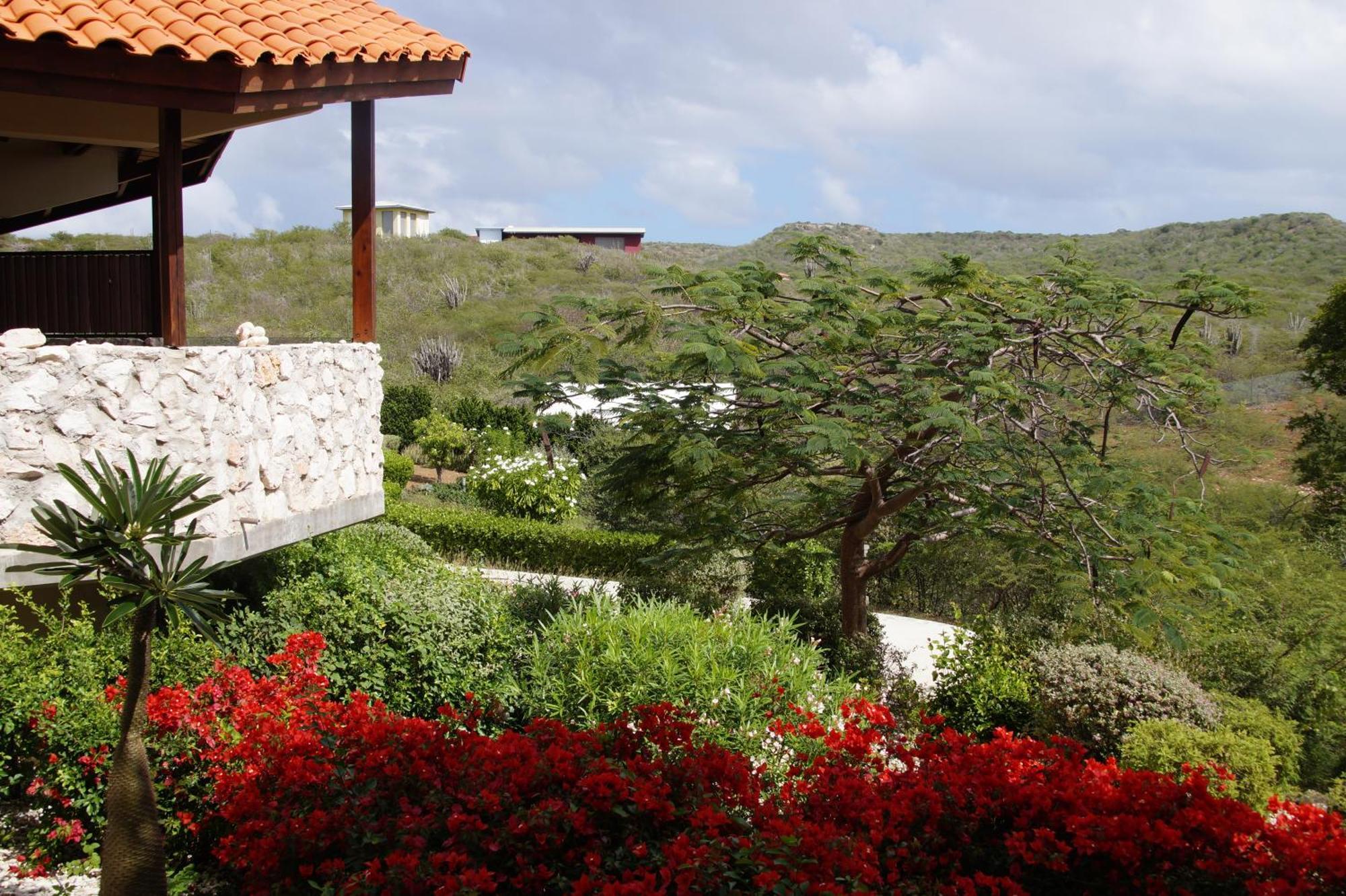 Bandabou Breeze Curacao Willibrordus
