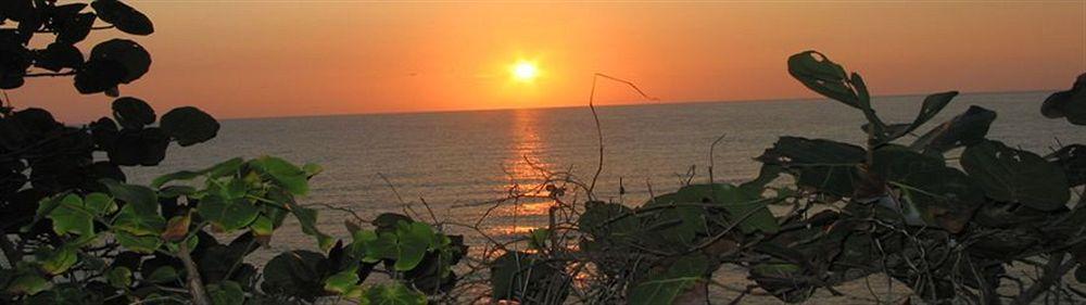 Tim Bamboo 3* Port Antonio