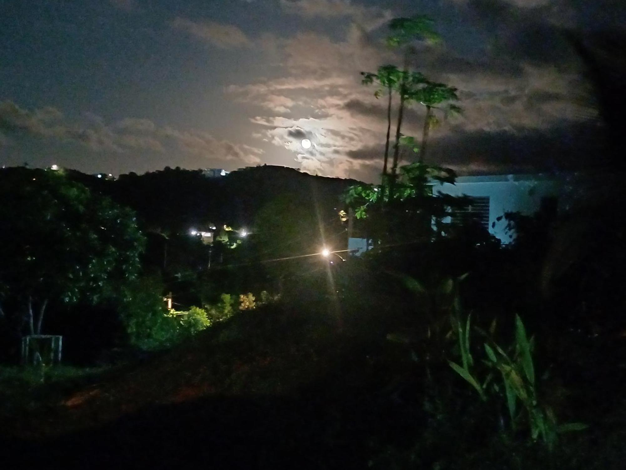 Rooster Run Glamping Has Rooftop And Off The Ground Glamping Experience For 1 To 16 In A Single Tent And Views Of The Rain Forrest And To Culebra Across The Atlantic Ocean W Tents, Linens, Deluxe Air Beds, Warm Shower And At A Great Pric