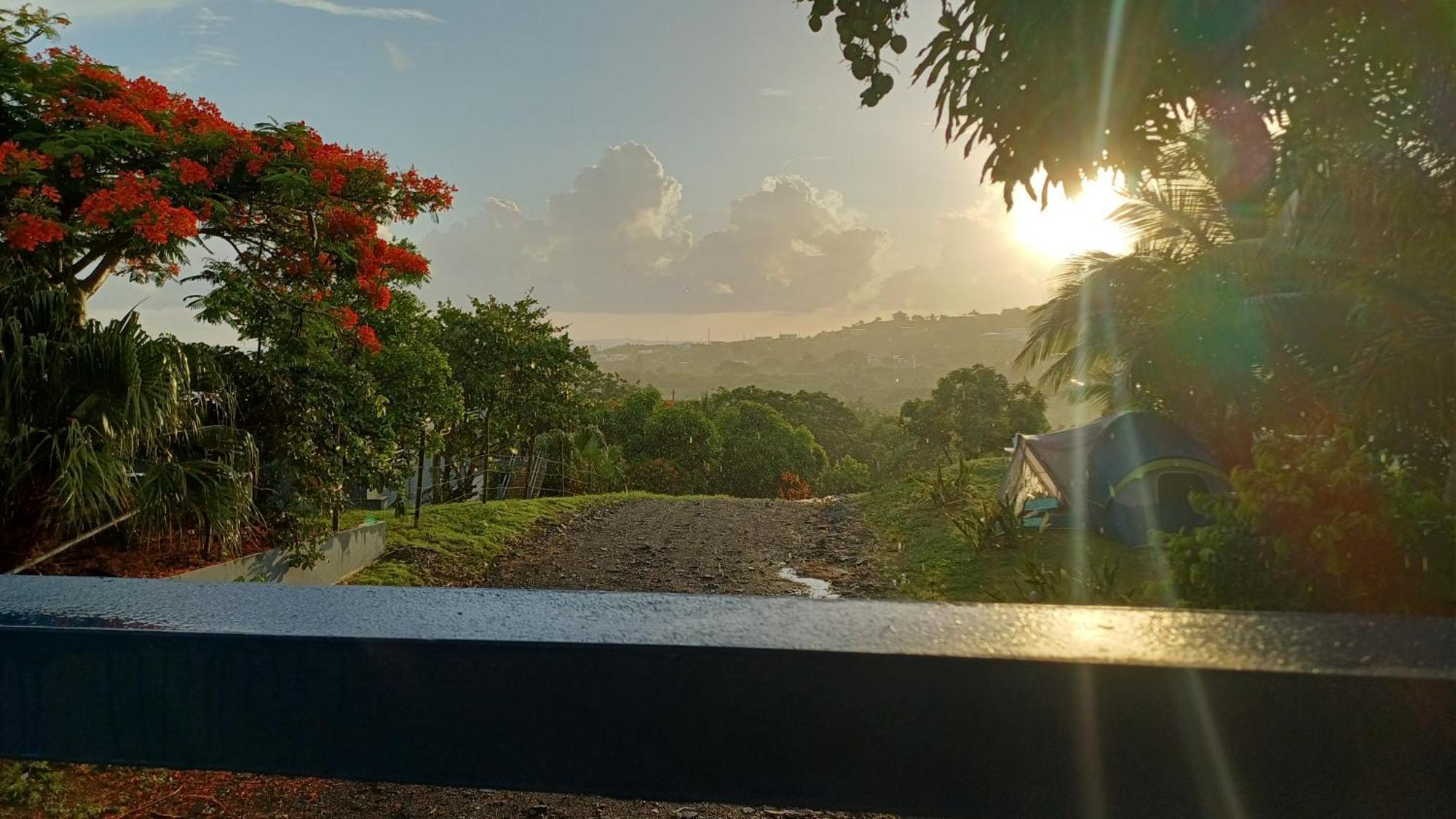 Rooster Run Glamping Has Rooftop And Off The Ground Glamping Experience For 1 To 16 In A Single Tent And Views Of The Rain Forrest And To Culebra Across The Atlantic Ocean W Tents, Linens, Deluxe Air Beds, Warm Shower And At A Great Pric Vieques