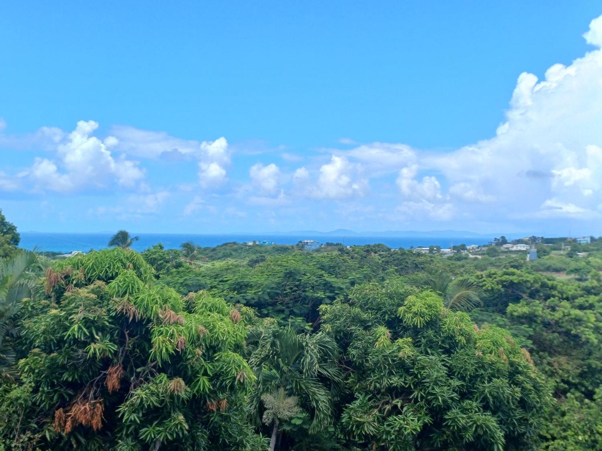 Rooster Run Glamping Has Rooftop And Off The Ground Glamping Experience For 1 To 16 In A Single Tent And Views Of The Rain Forrest And To Culebra Across The Atlantic Ocean W Tents, Linens, Deluxe Air Beds, Warm Shower And At A Great Pric Luxury tent