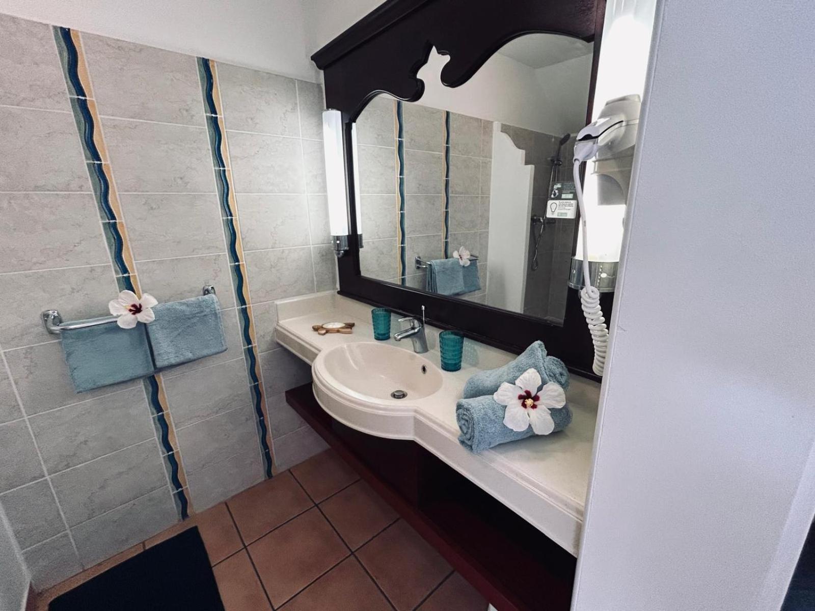 Apartment Ti Cocotier Vue 2 A 6 Personnes Village Pierre Et Sainte-Luce