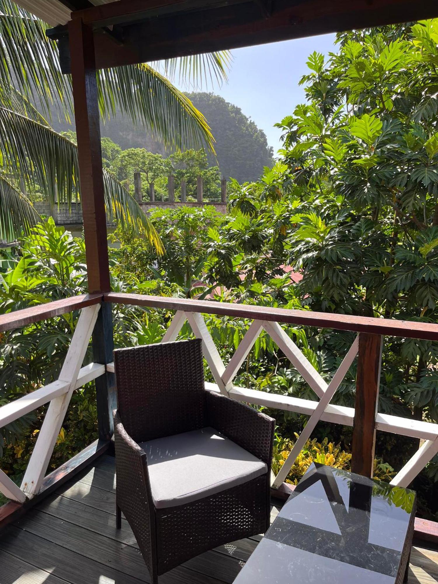 Anthurium Apartment