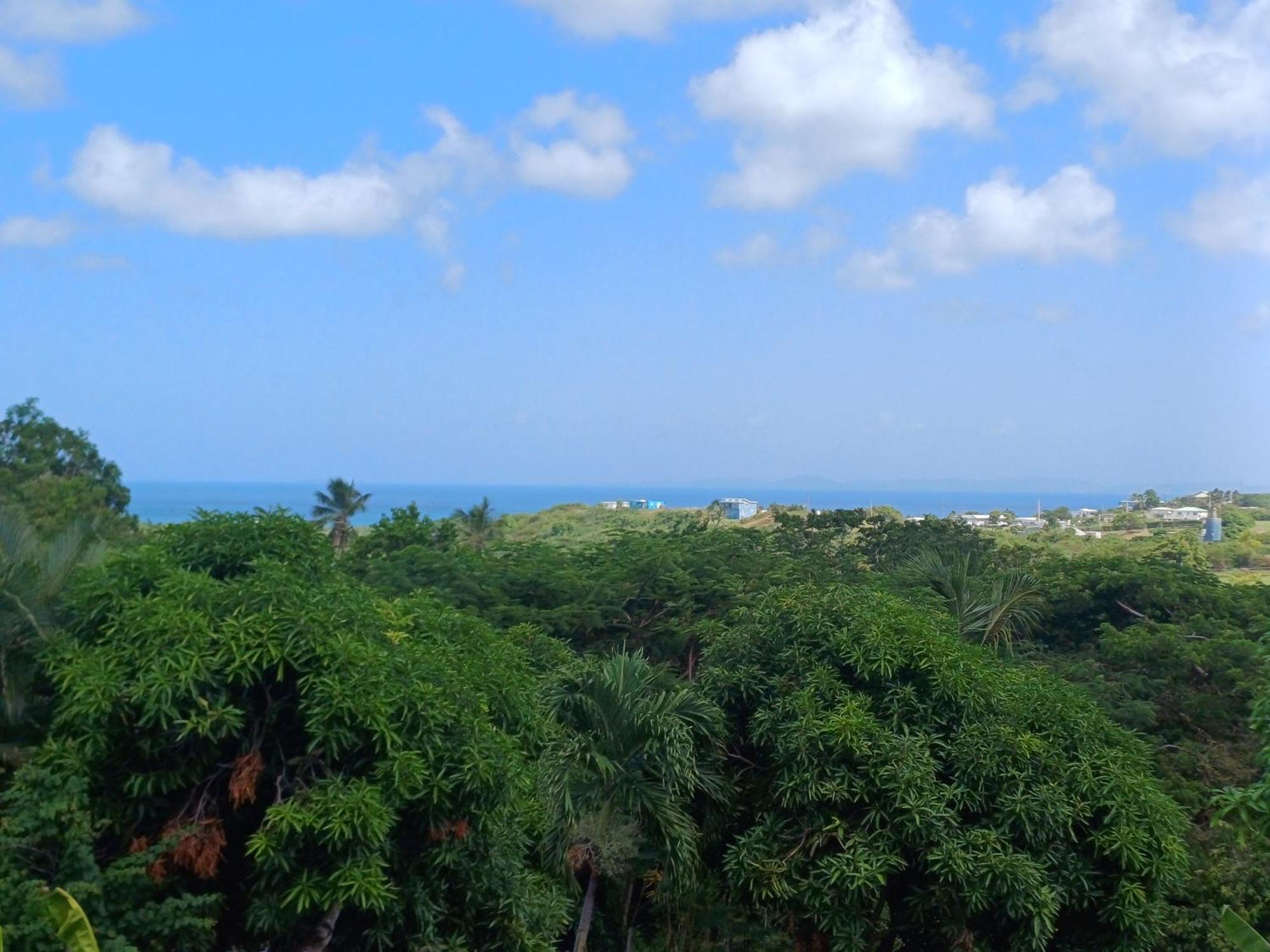 Rooster Run Glamping Has Rooftop And Off The Ground Glamping Experience For 1 To 16 In A Single Tent And Views Of The Rain Forrest And To Culebra Across The Atlantic Ocean W Tents, Linens, Deluxe Air Beds, Warm Shower And At A Great Pric