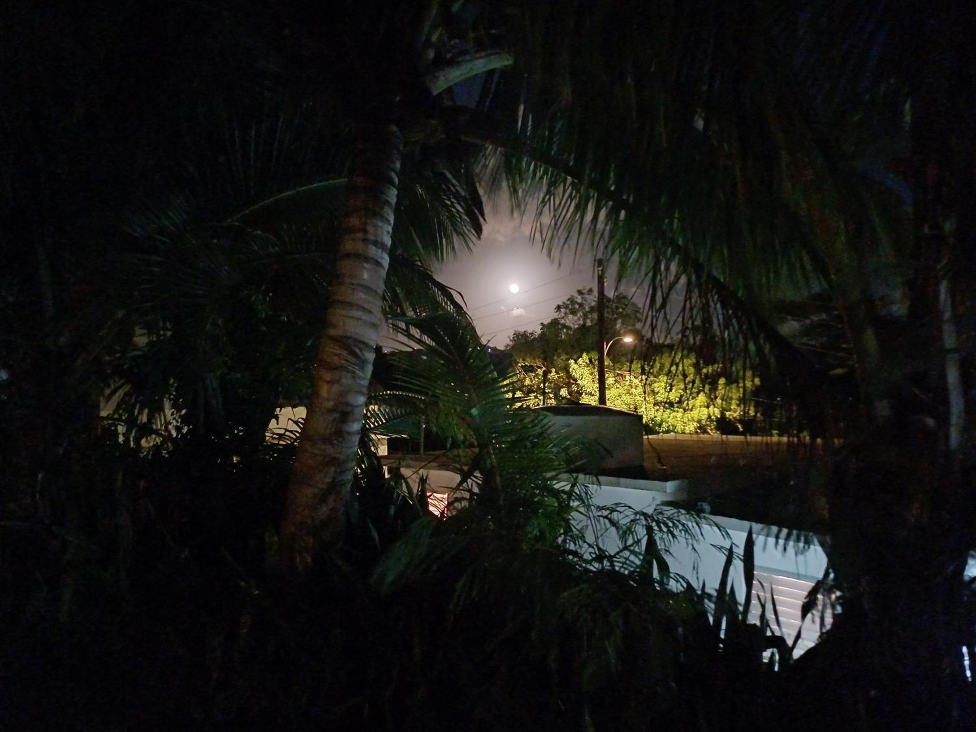Rooster Run Glamping Has Rooftop And Off The Ground Glamping Experience For 1 To 16 In A Single Tent And Views Of The Rain Forrest And To Culebra Across The Atlantic Ocean W Tents, Linens, Deluxe Air Beds, Warm Shower And At A Great Pric Luxury tent