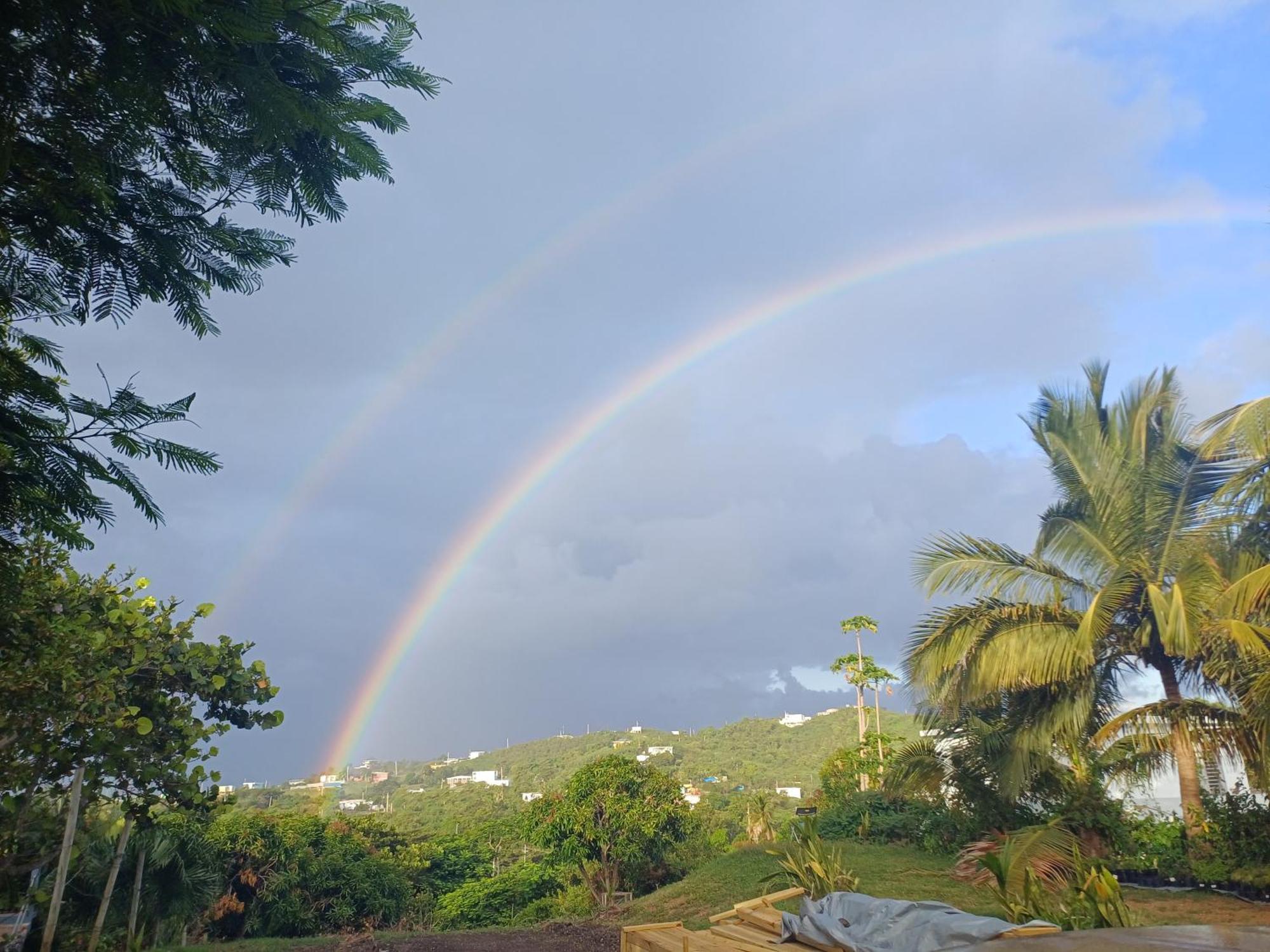 Rooster Run Glamping Has Rooftop And Off The Ground Glamping Experience For 1 To 16 In A Single Tent And Views Of The Rain Forrest And To Culebra Across The Atlantic Ocean W Tents, Linens, Deluxe Air Beds, Warm Shower And At A Great Pric Vieques