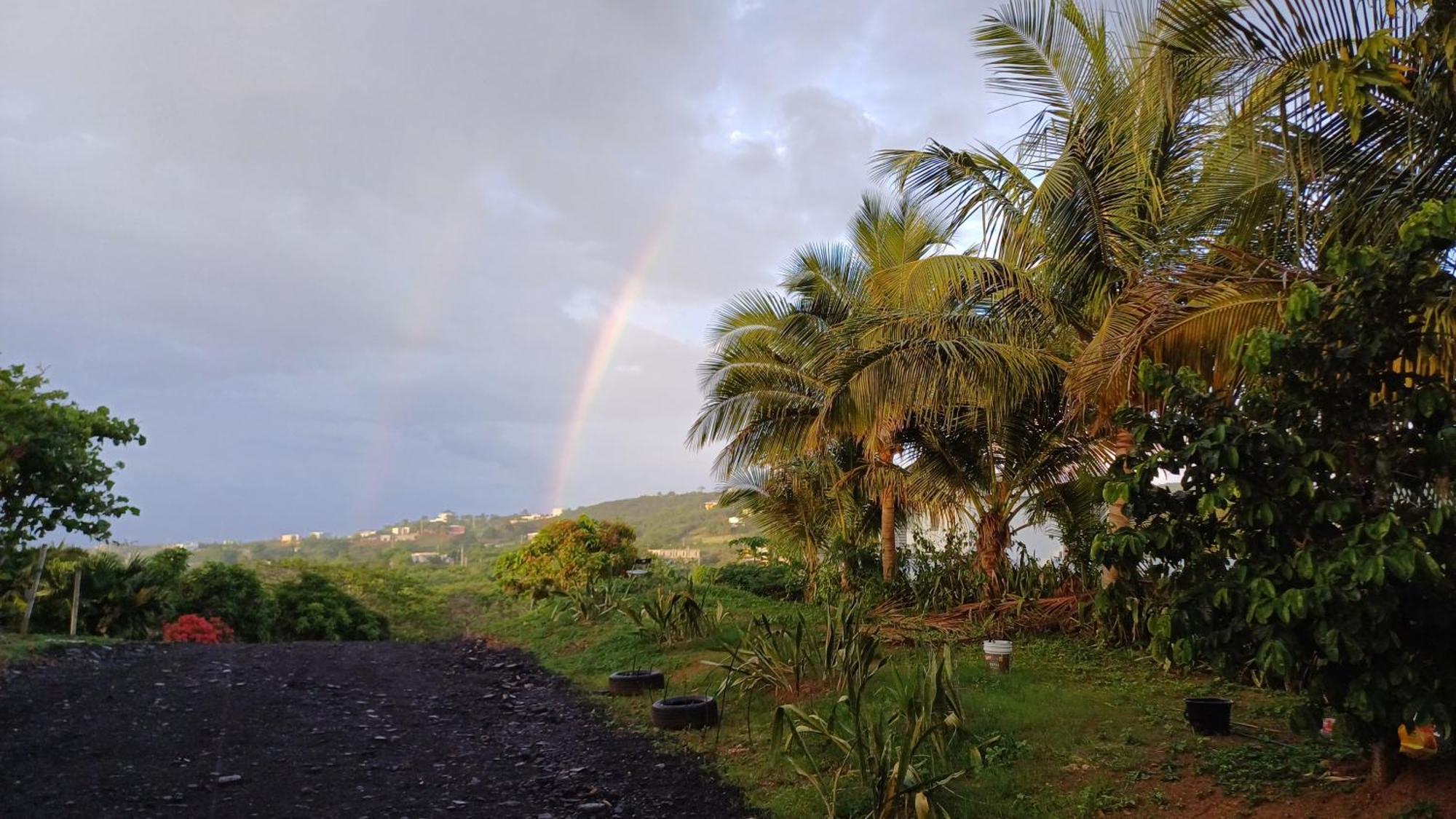 Rooster Run Glamping Has Rooftop And Off The Ground Glamping Experience For 1 To 16 In A Single Tent And Views Of The Rain Forrest And To Culebra Across The Atlantic Ocean W Tents, Linens, Deluxe Air Beds, Warm Shower And At A Great Pric
