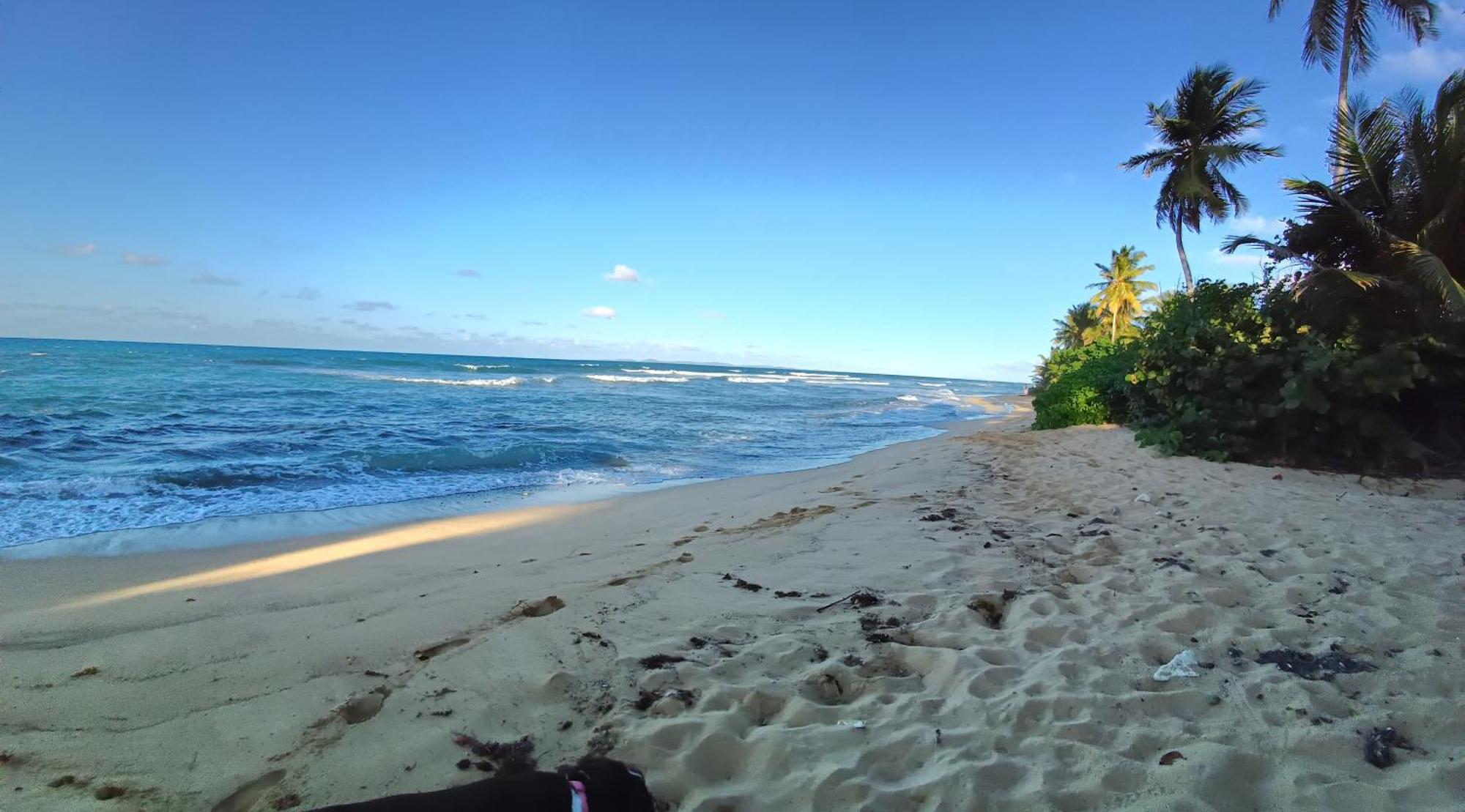 Rooster Run Glamping Has Rooftop And Off The Ground Glamping Experience For 1 To 16 In A Single Tent And Views Of The Rain Forrest And To Culebra Across The Atlantic Ocean W Tents, Linens, Deluxe Air Beds, Warm Shower And At A Great Pric *