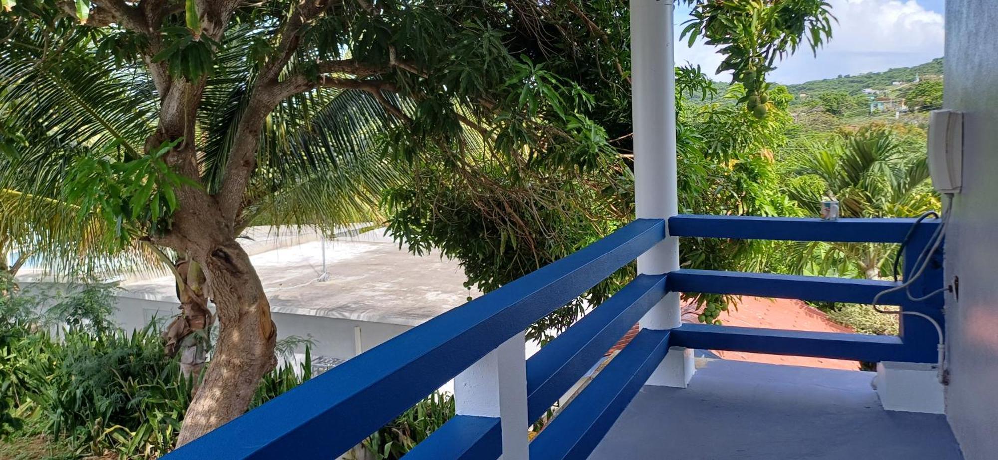 Rooster Run Glamping Has Rooftop And Off The Ground Glamping Experience For 1 To 16 In A Single Tent And Views Of The Rain Forrest And To Culebra Across The Atlantic Ocean W Tents, Linens, Deluxe Air Beds, Warm Shower And At A Great Pric Vieques