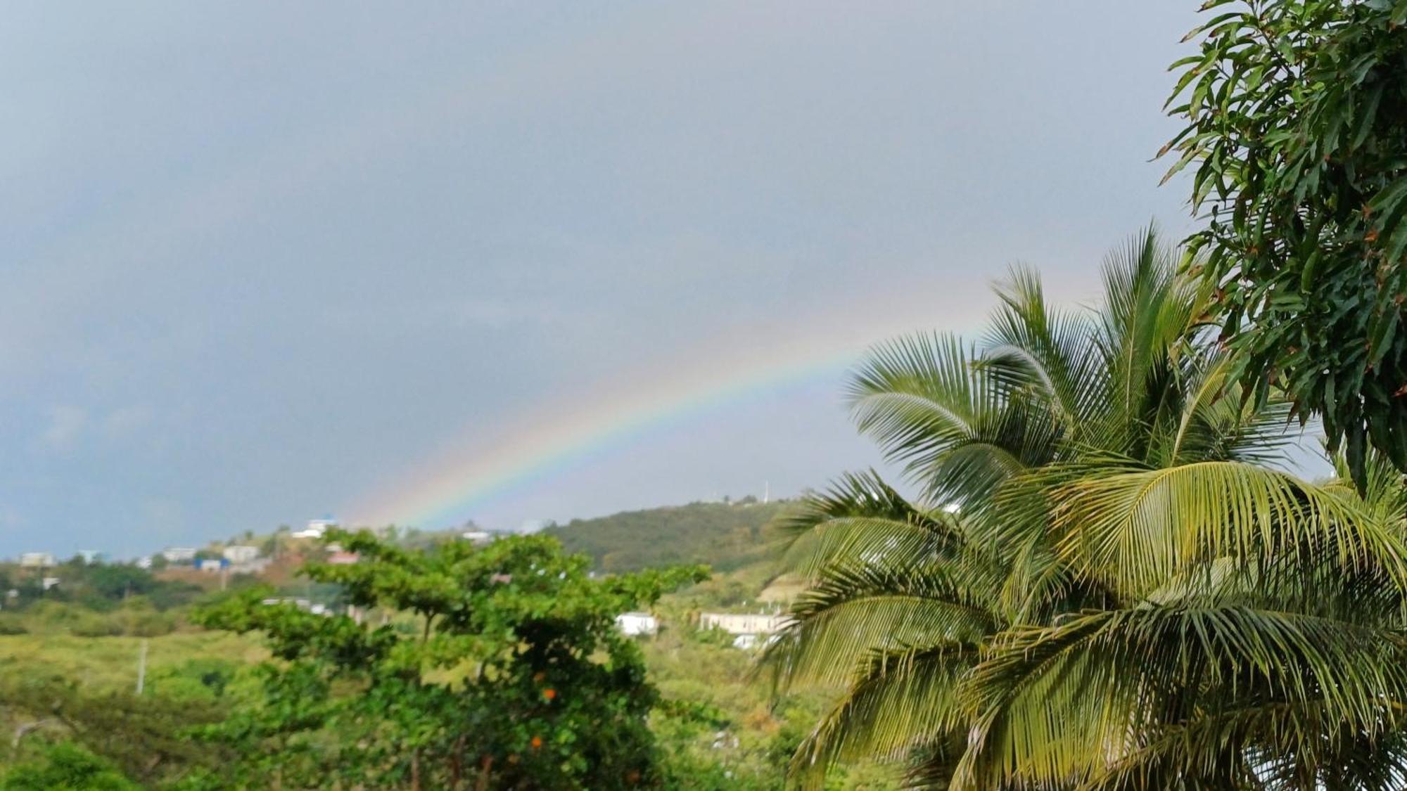 Luxury tent Rooster Run Glamping Has Rooftop And Off The Ground Glamping Experience For 1 To 16 In A Single Tent And Views Of The Rain Forrest And To Culebra Across The Atlantic Ocean W Tents, Linens, Deluxe Air Beds, Warm Shower And At A Great Pric