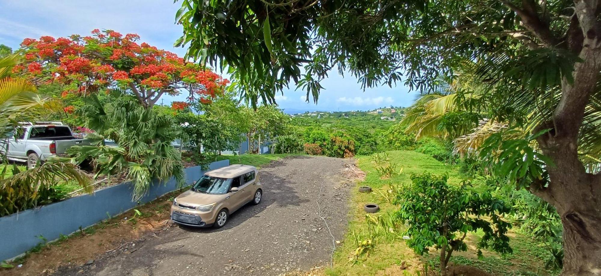 Luxury tent Rooster Run Glamping Has Rooftop And Off The Ground Glamping Experience For 1 To 16 In A Single Tent And Views Of The Rain Forrest And To Culebra Across The Atlantic Ocean W Tents, Linens, Deluxe Air Beds, Warm Shower And At A Great Pric