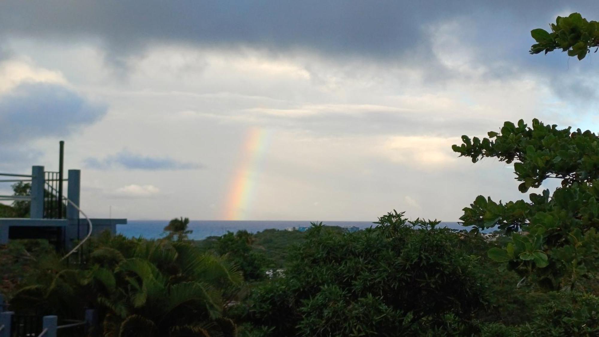 Rooster Run Glamping Has Rooftop And Off The Ground Glamping Experience For 1 To 16 In A Single Tent And Views Of The Rain Forrest And To Culebra Across The Atlantic Ocean W Tents, Linens, Deluxe Air Beds, Warm Shower And At A Great Pric * Vieques