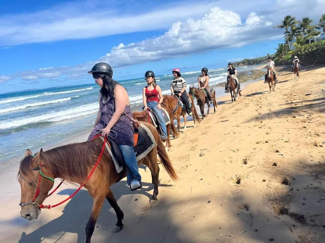 Luxury tent Rooster Run Glamping Has Rooftop And Off The Ground Glamping Experience For 1 To 16 In A Single Tent And Views Of The Rain Forrest And To Culebra Across The Atlantic Ocean W Tents, Linens, Deluxe Air Beds, Warm Shower And At A Great Pric Vieques
