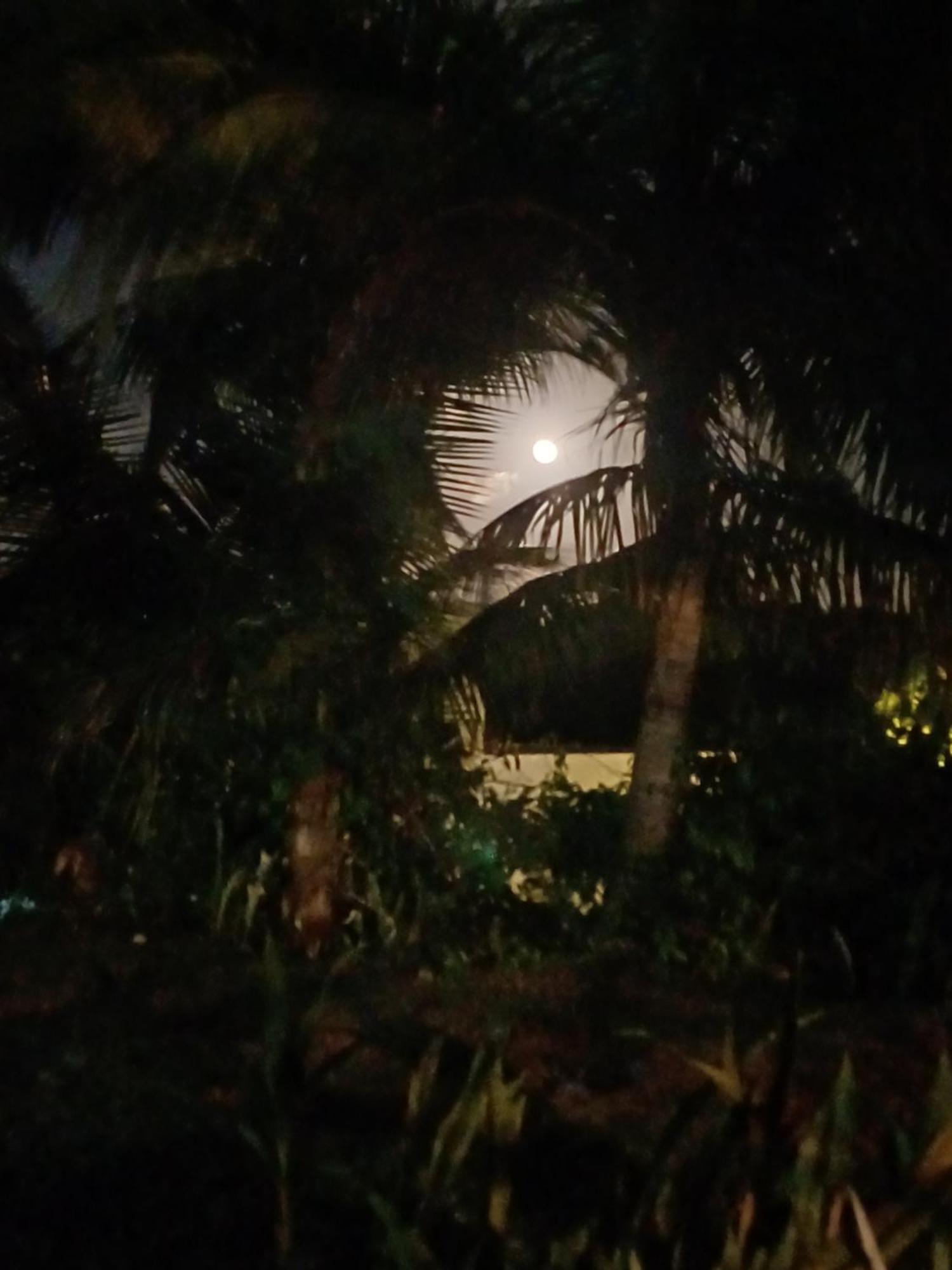 Rooster Run Glamping Has Rooftop And Off The Ground Glamping Experience For 1 To 16 In A Single Tent And Views Of The Rain Forrest And To Culebra Across The Atlantic Ocean W Tents, Linens, Deluxe Air Beds, Warm Shower And At A Great Pric Vieques