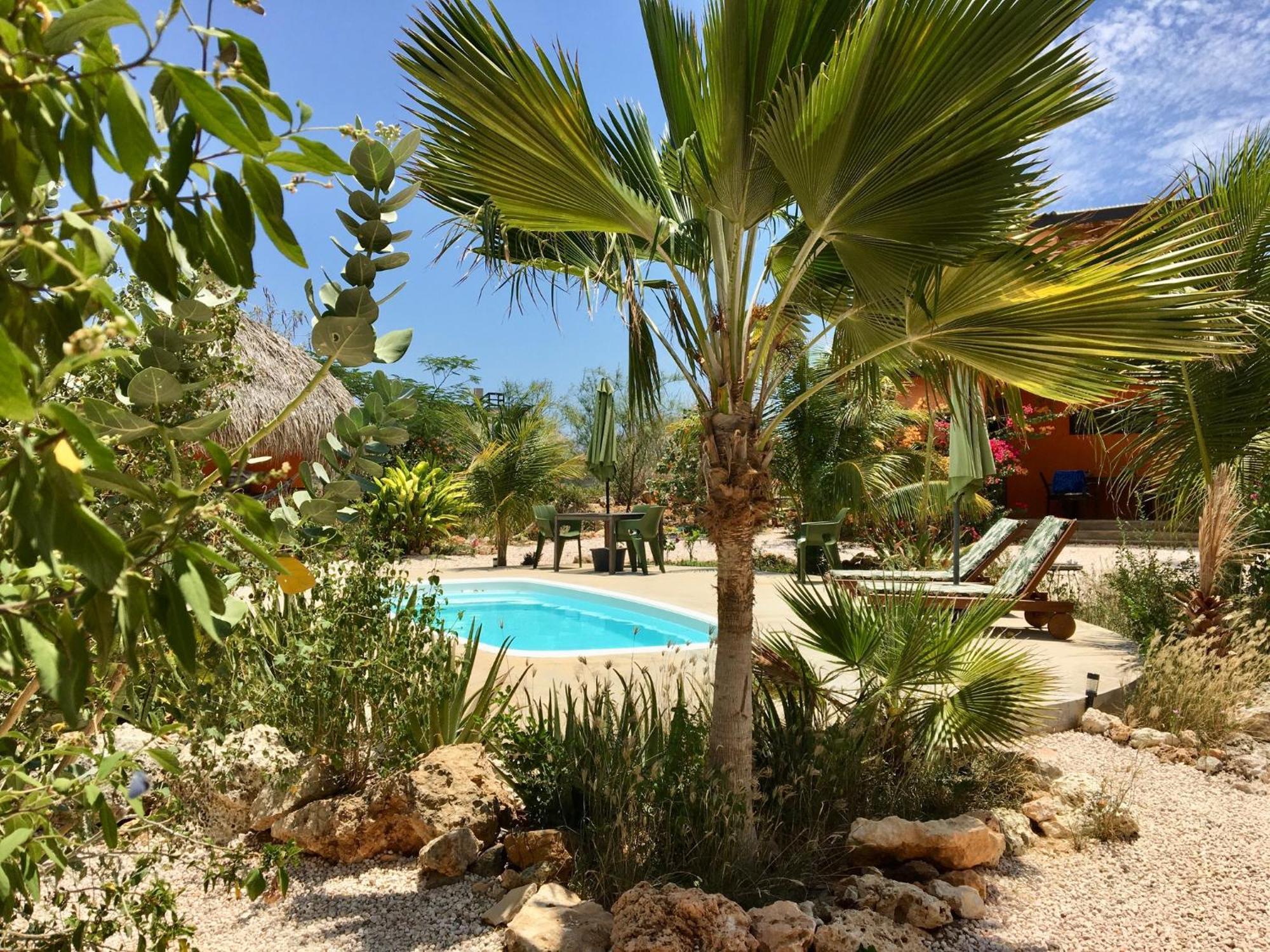 Bed & Breakfast The Octopus Tropical Oasis Sint Michiel