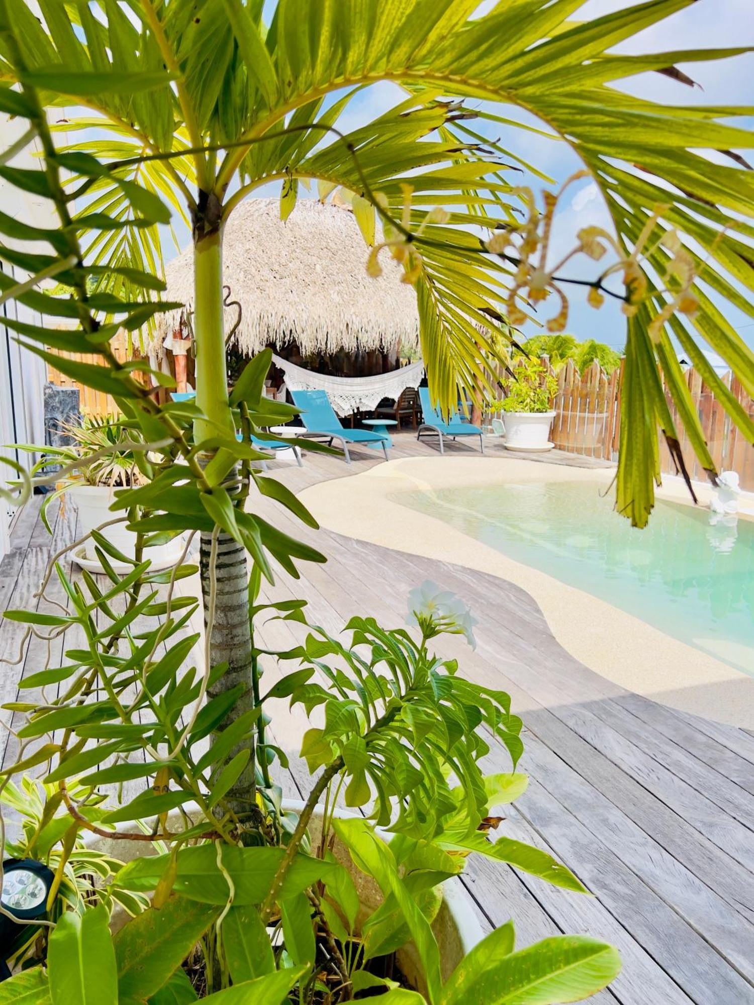Amaryllis Luxueuse,piscine,vue Mer,plage * Sainte-Luce