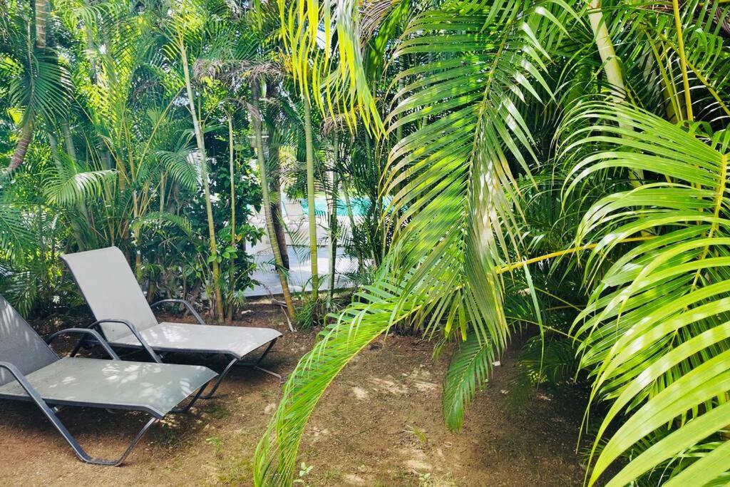 Aligio Beachfront & Apartment *