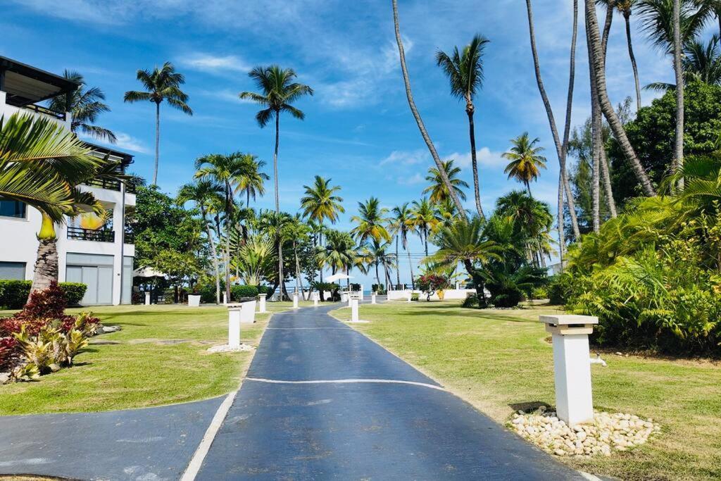 Aligio Beachfront & Apartment Las Terrenas